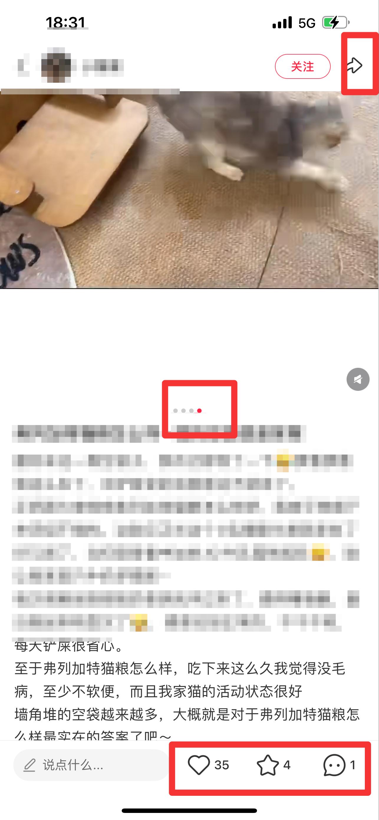 小红书 搜索 弗   弗列加特猫粮怎么样5 步骤图2