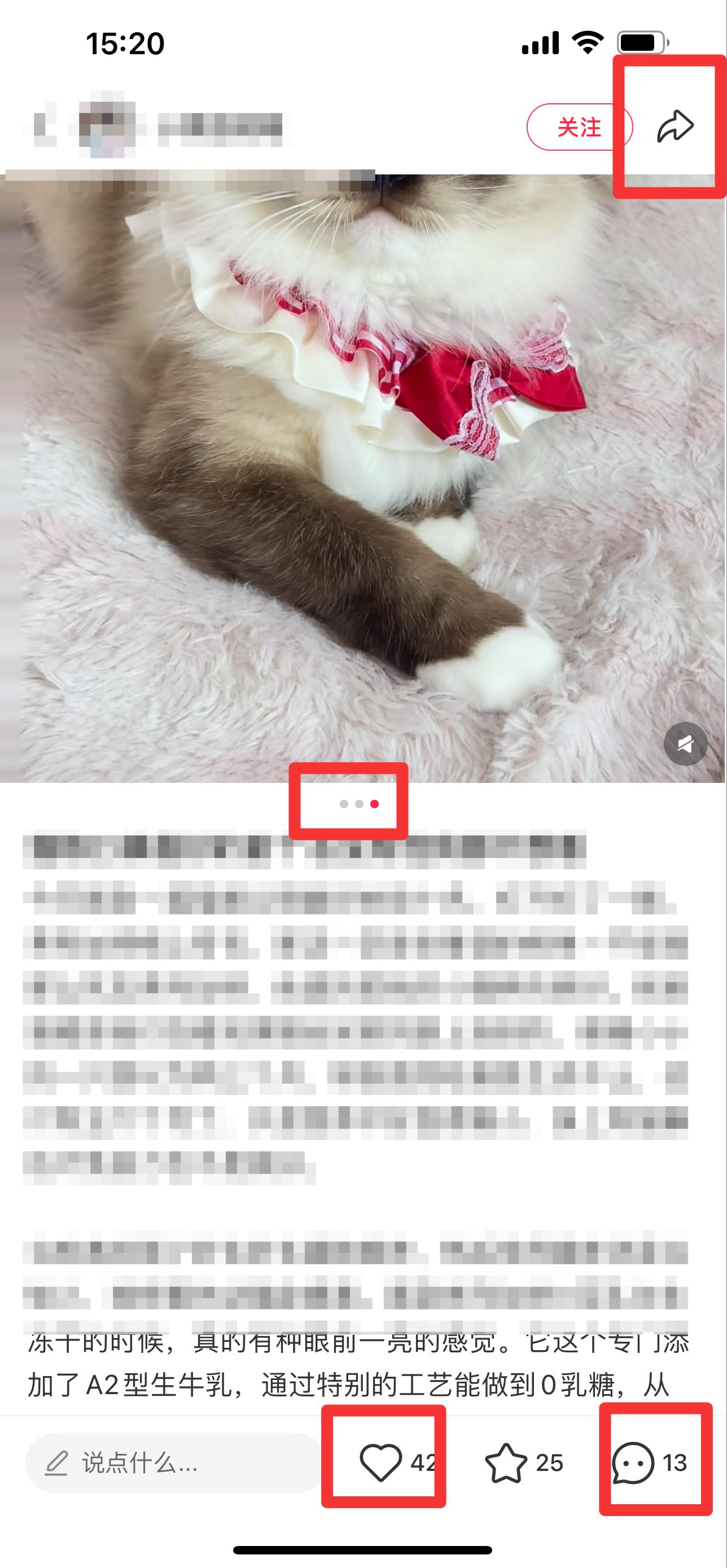小红书 搜索 弗  猫粮口碑最好的前十名1 步骤图2
