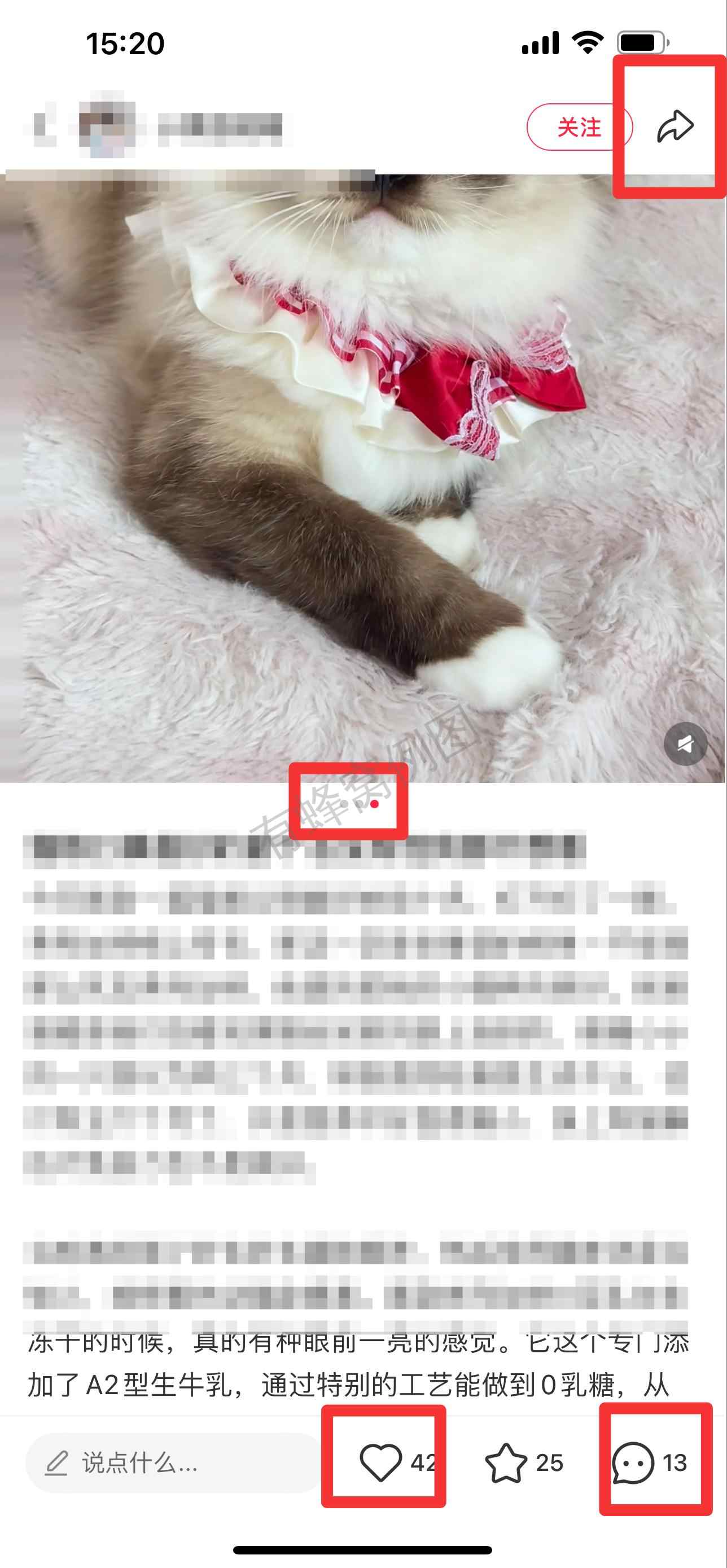 小红书 搜索 弗 猫粮口碑最好的前十名1 步骤图2