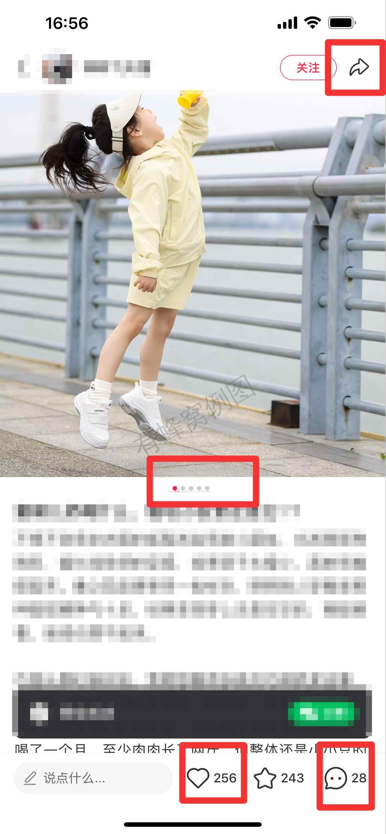 小红书 搜索 惠 雅培小安素31 步骤图2