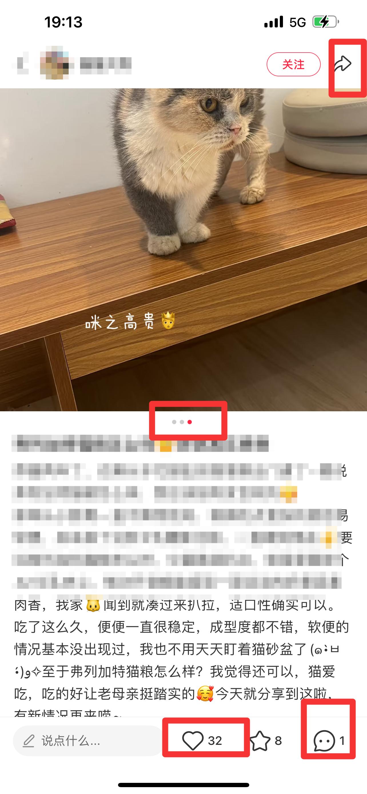 小红书 搜索 弗   弗列加特猫粮怎么样6 步骤图2