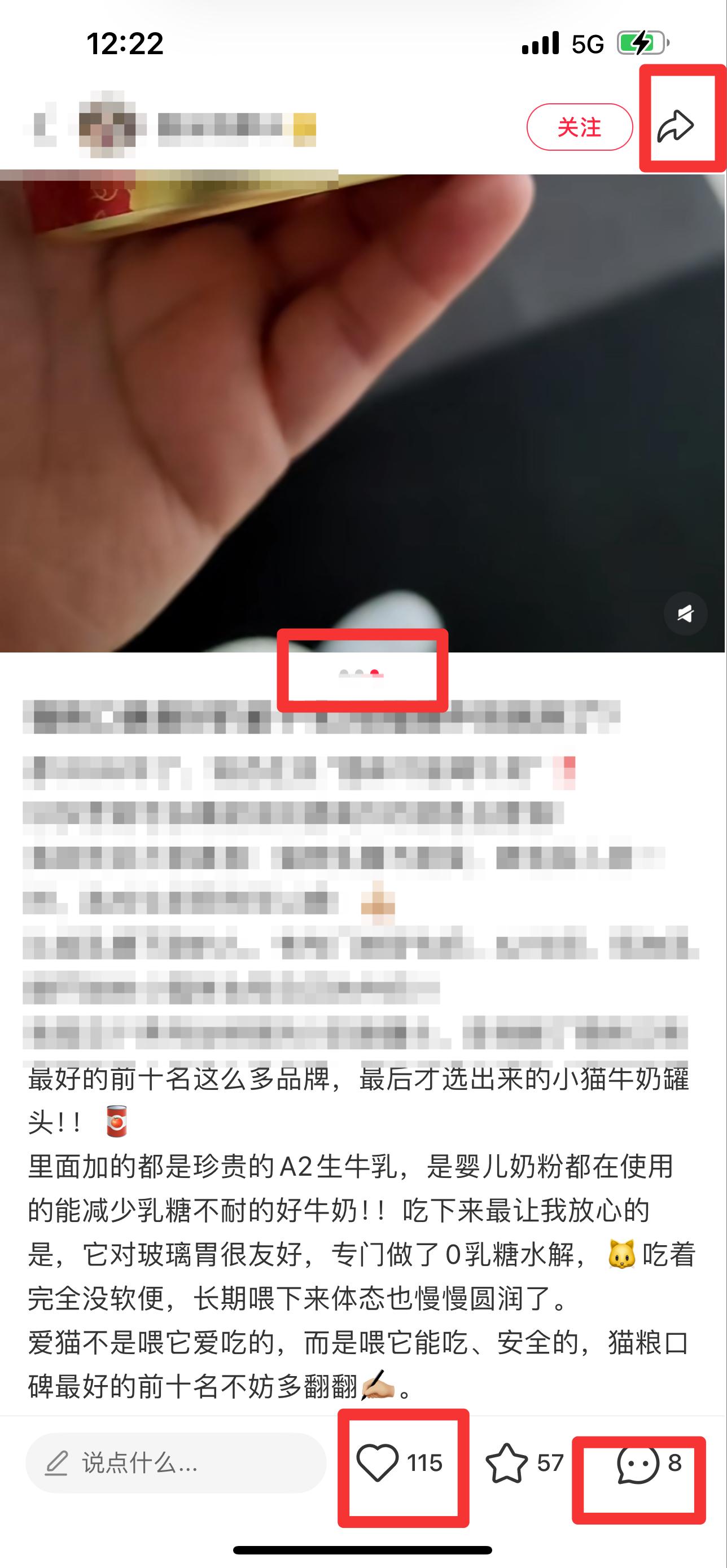 小红书 搜索 弗  猫粮口碑最好的前十名7 步骤图2