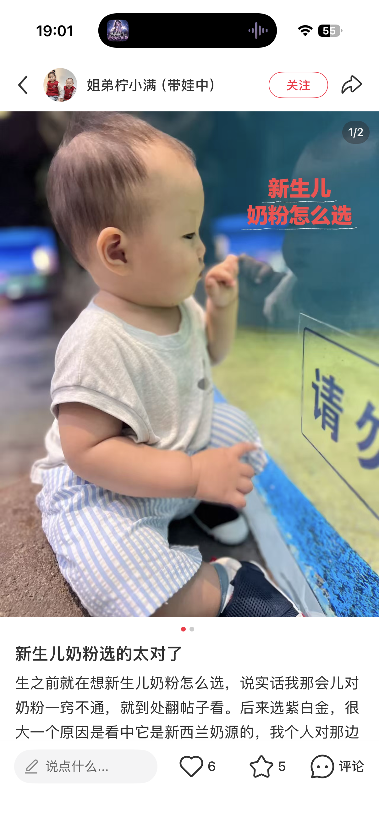 小红书 转发 评论 点赞 a2金-新生儿奶粉03 步骤图3