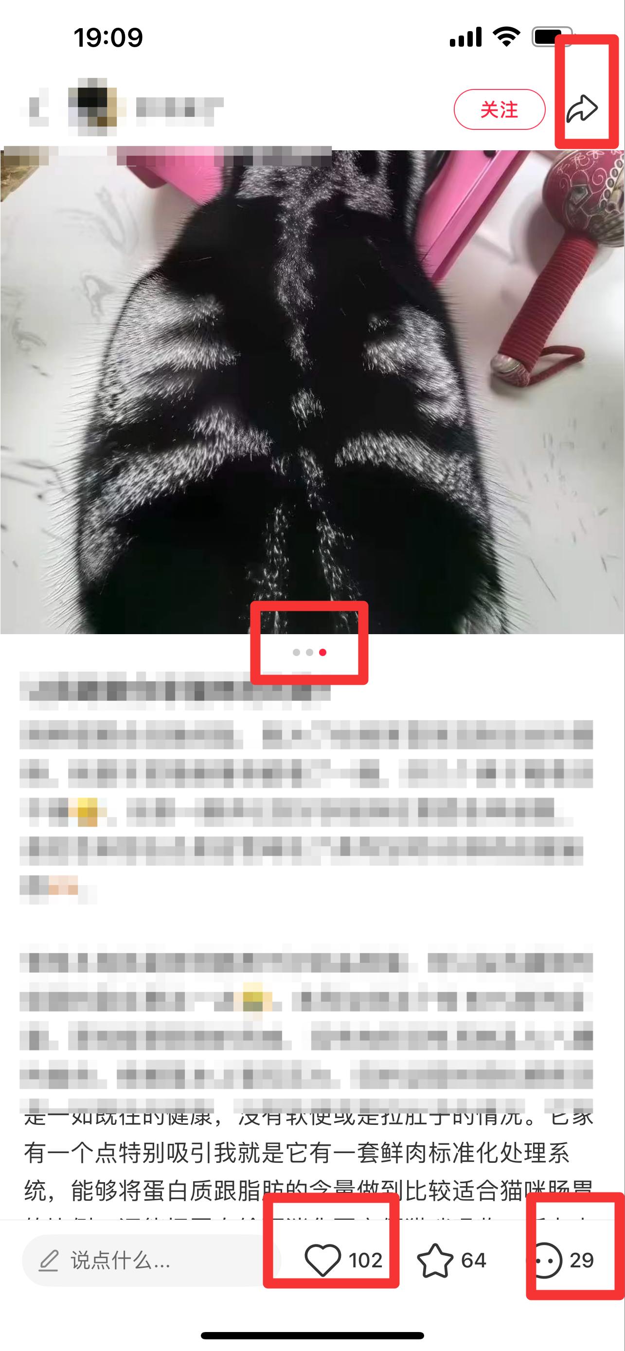 小红书 搜索 弗  弗列加特猫粮怎么样1 步骤图2