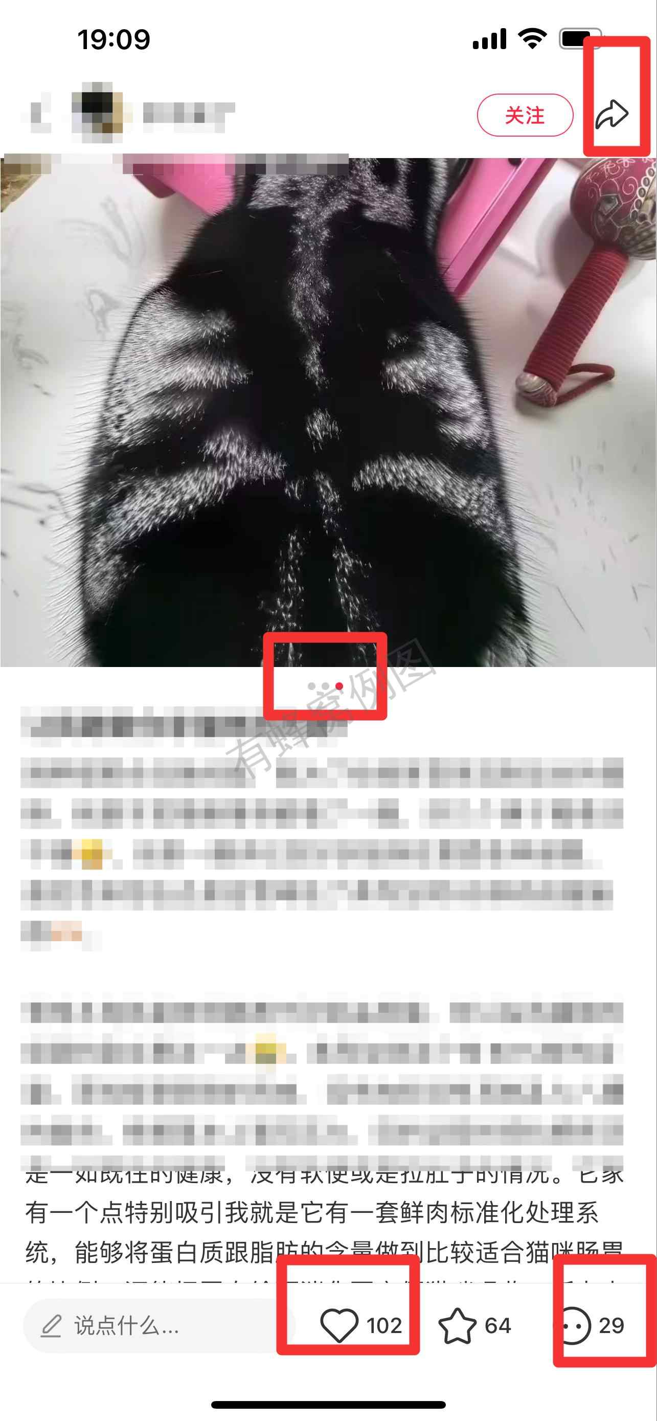 小红书 搜索 弗 弗列加特猫粮怎么样1 步骤图2
