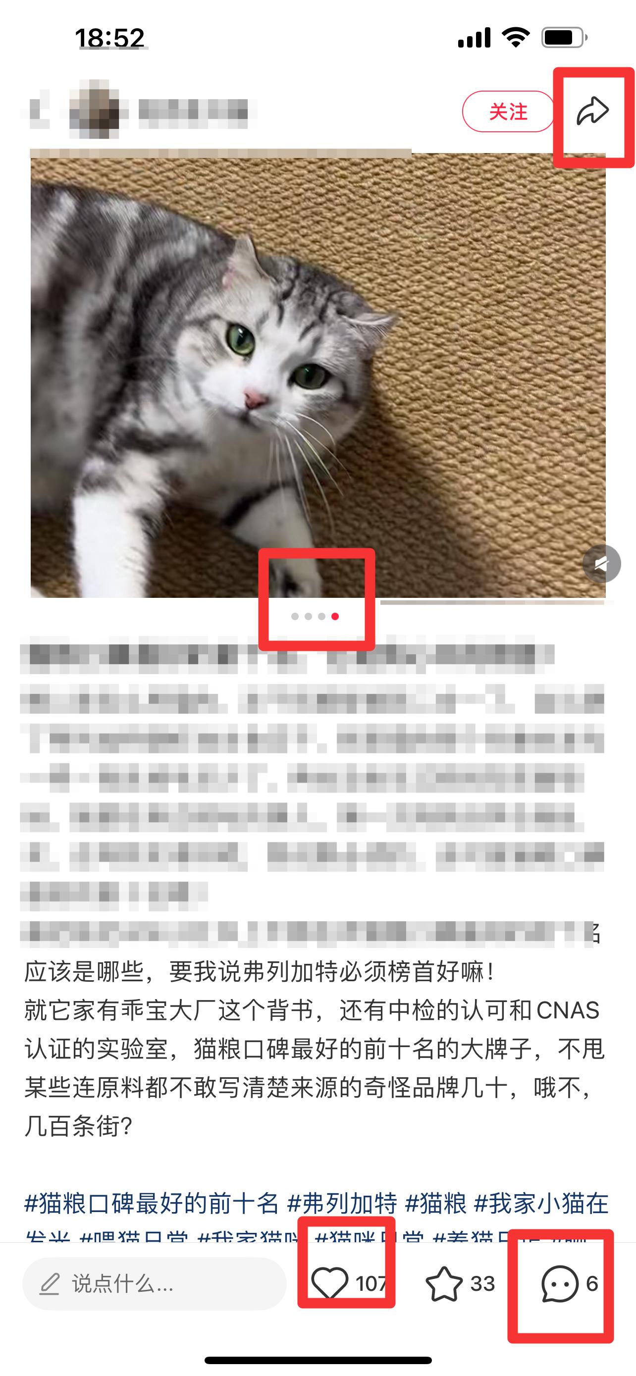 小红书 搜索 弗  猫粮口碑最好的前十名5 步骤图2