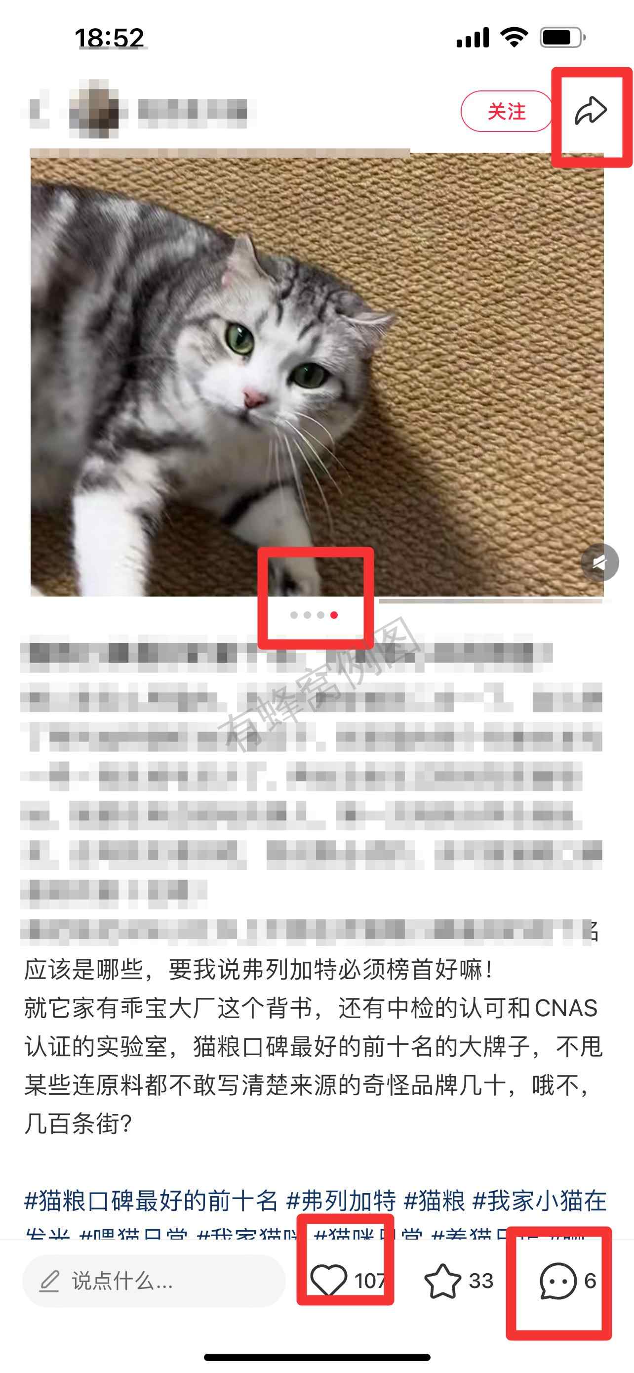 小红书 搜索 弗 猫粮口碑最好的前十名5 步骤图2