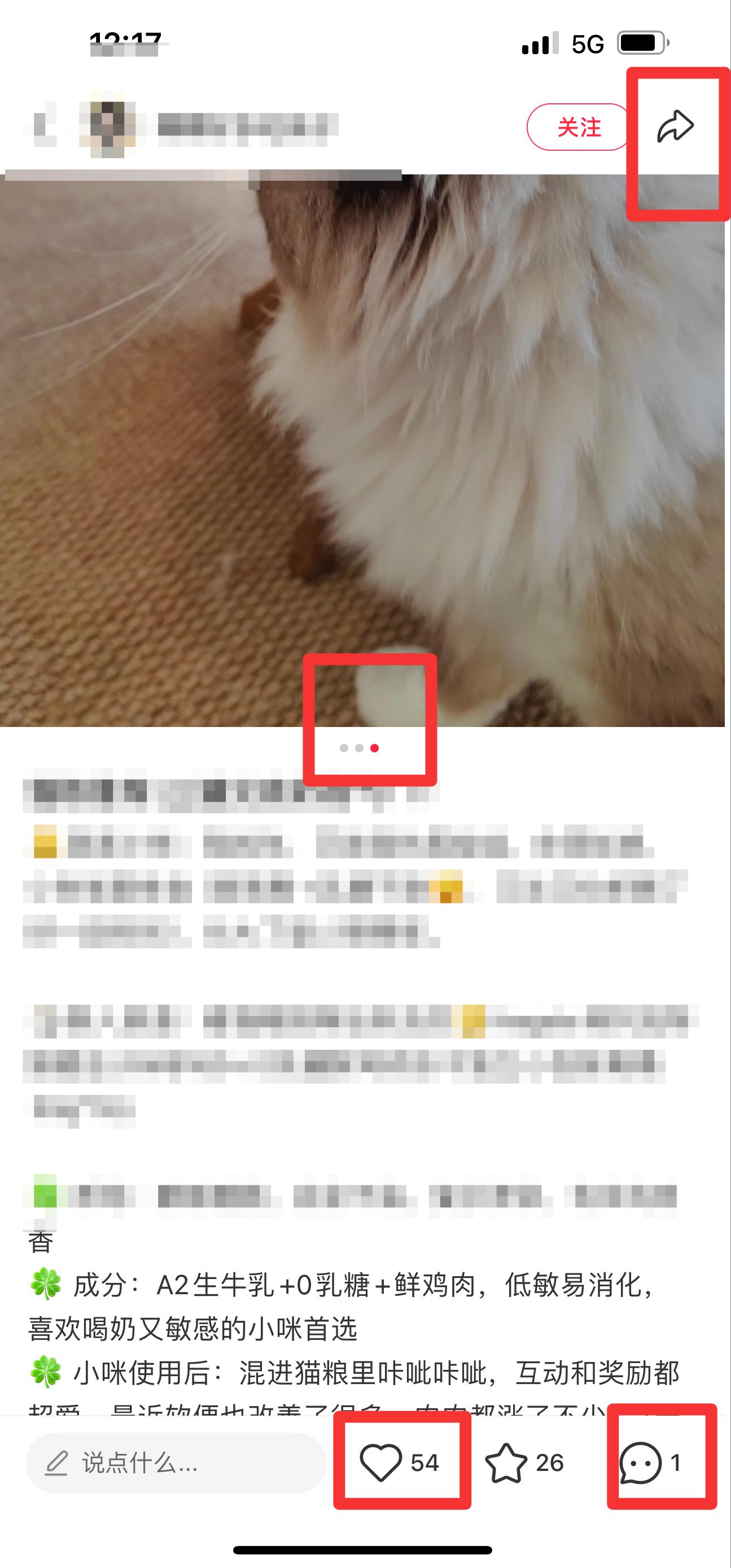 小红书 搜索 弗  猫粮推荐3 步骤图2