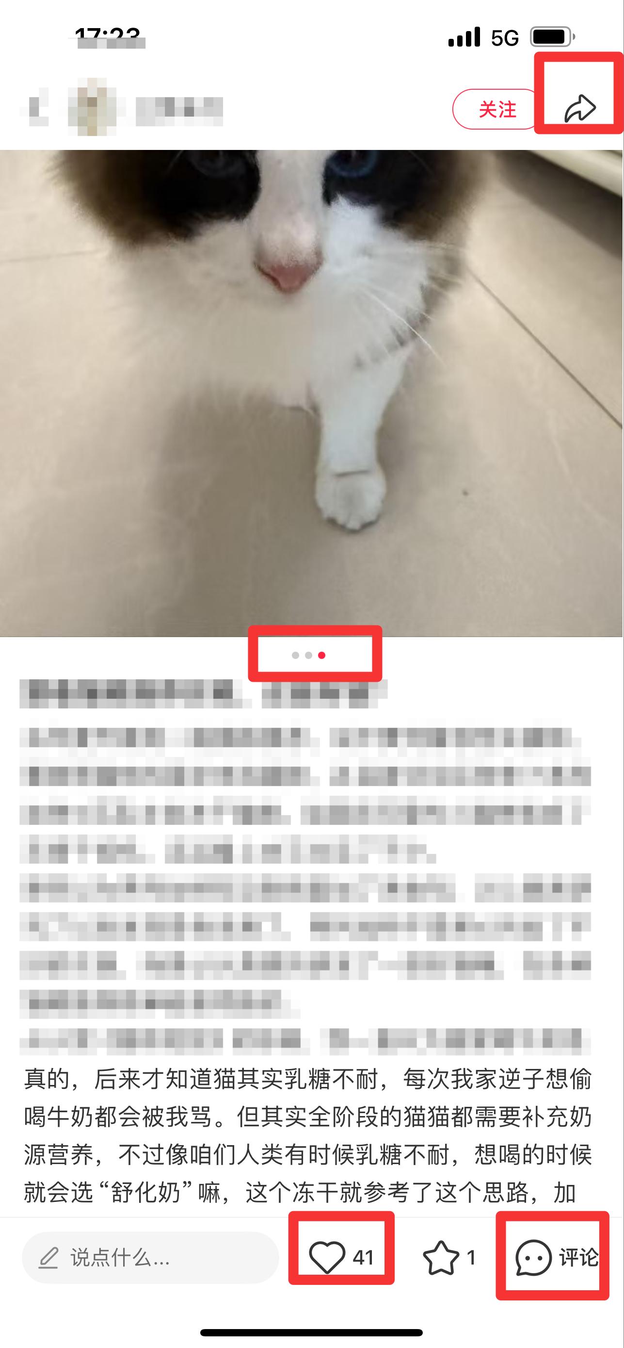 小红书 搜索 弗  弗列加特猫粮1 步骤图2