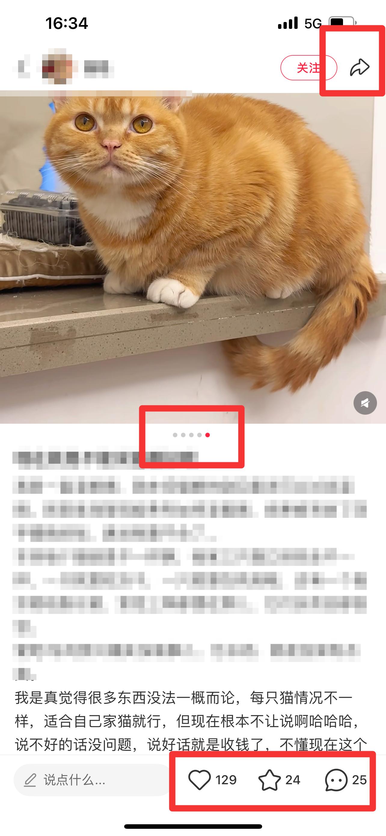 小红书 搜索 弗  弗列加特猫粮怎么样3 步骤图2
