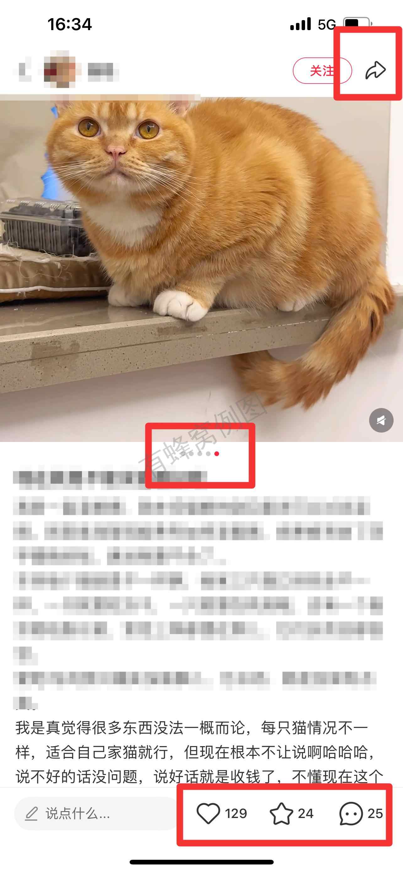 小红书 搜索 弗 弗列加特猫粮怎么样3 步骤图2