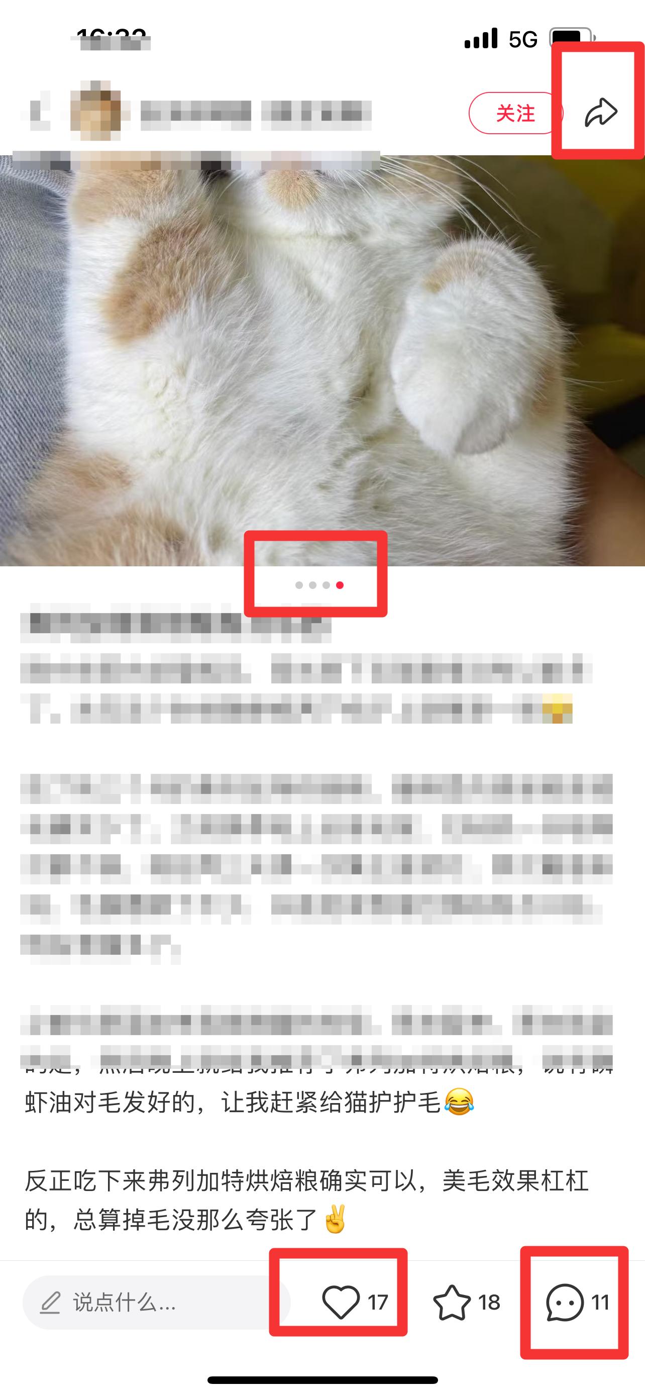 小红书 搜索 弗  弗列加特烘焙粮8 步骤图2