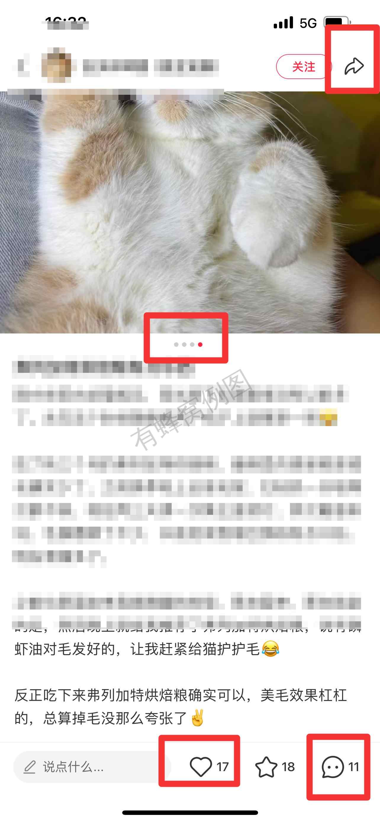 小红书 搜索 弗 弗列加特烘焙粮8 步骤图2