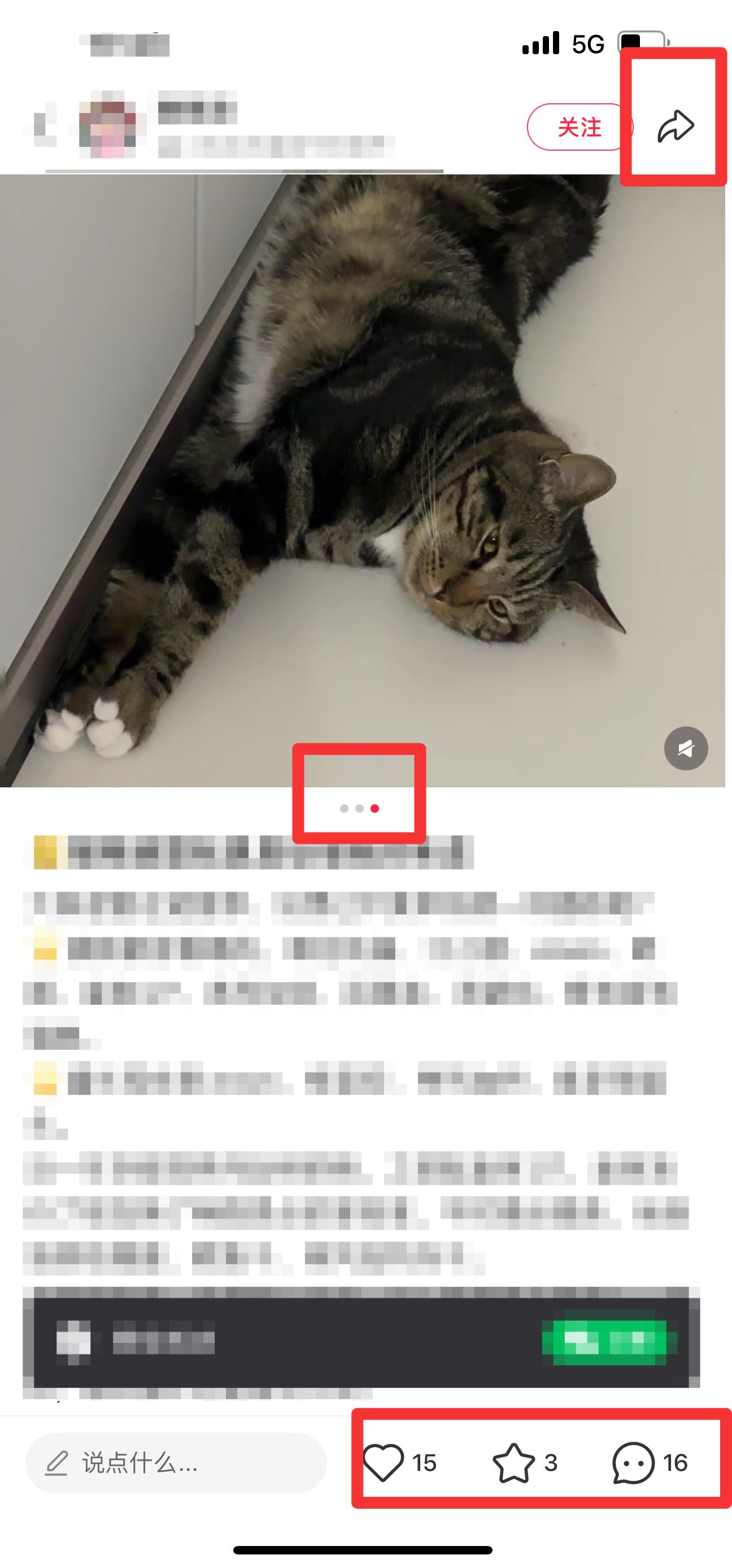 小红书 搜索 弗   弗列加特猫粮怎么样4 步骤图2