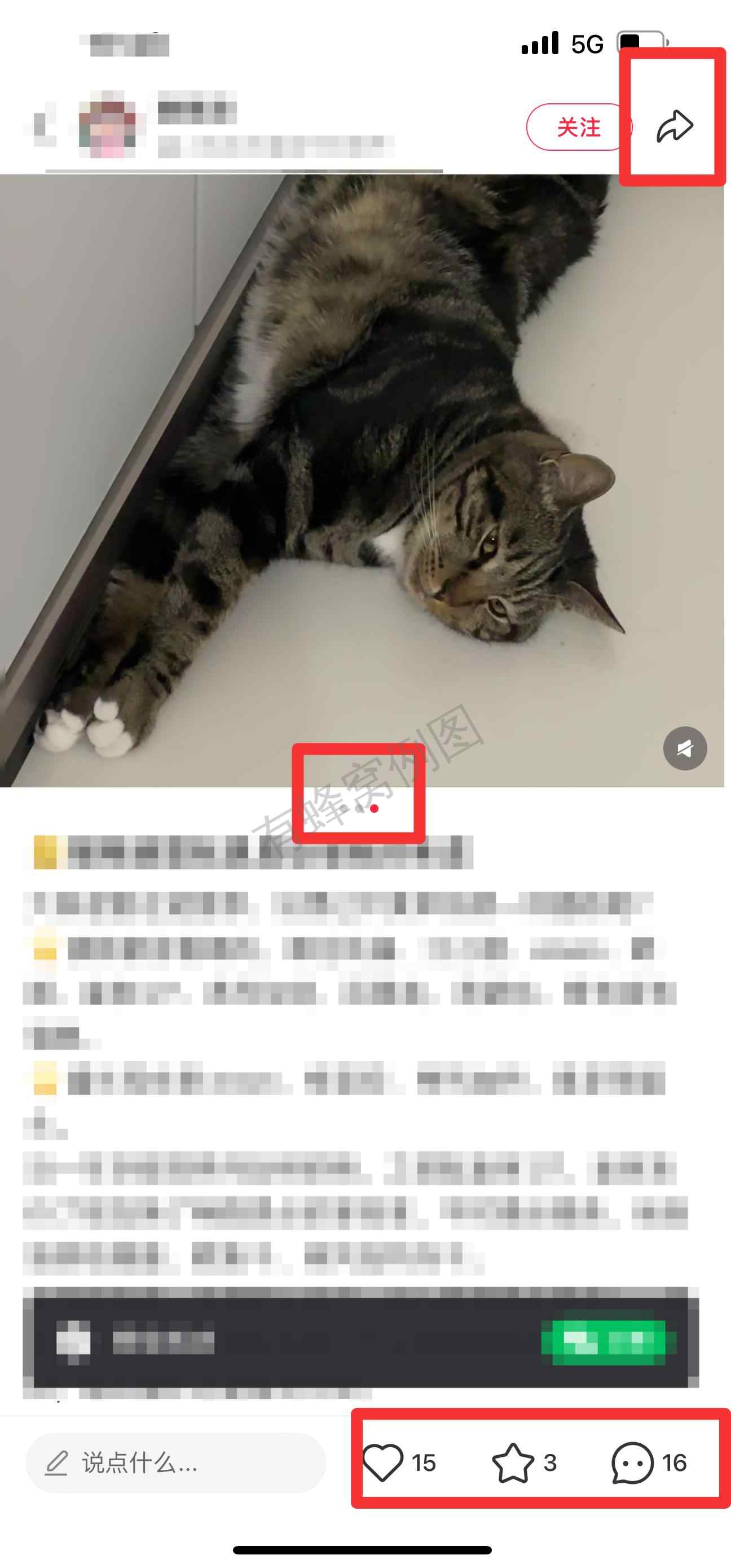 小红书 搜索 弗 弗列加特猫粮怎么样4 步骤图2