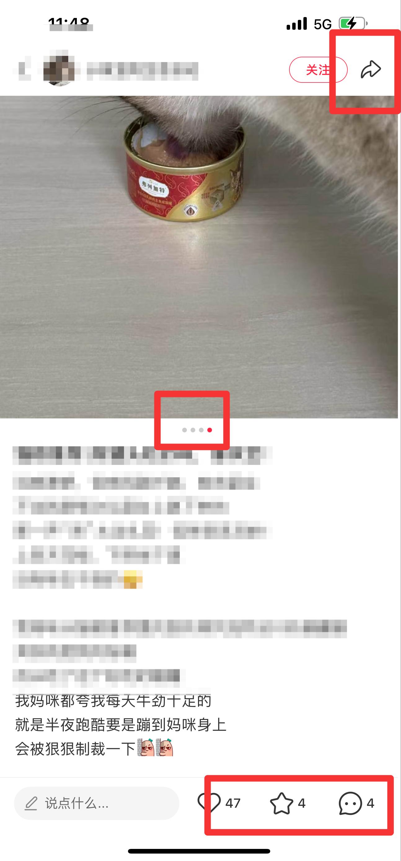 小红书 搜索 霸  猫粮推荐4 步骤图2