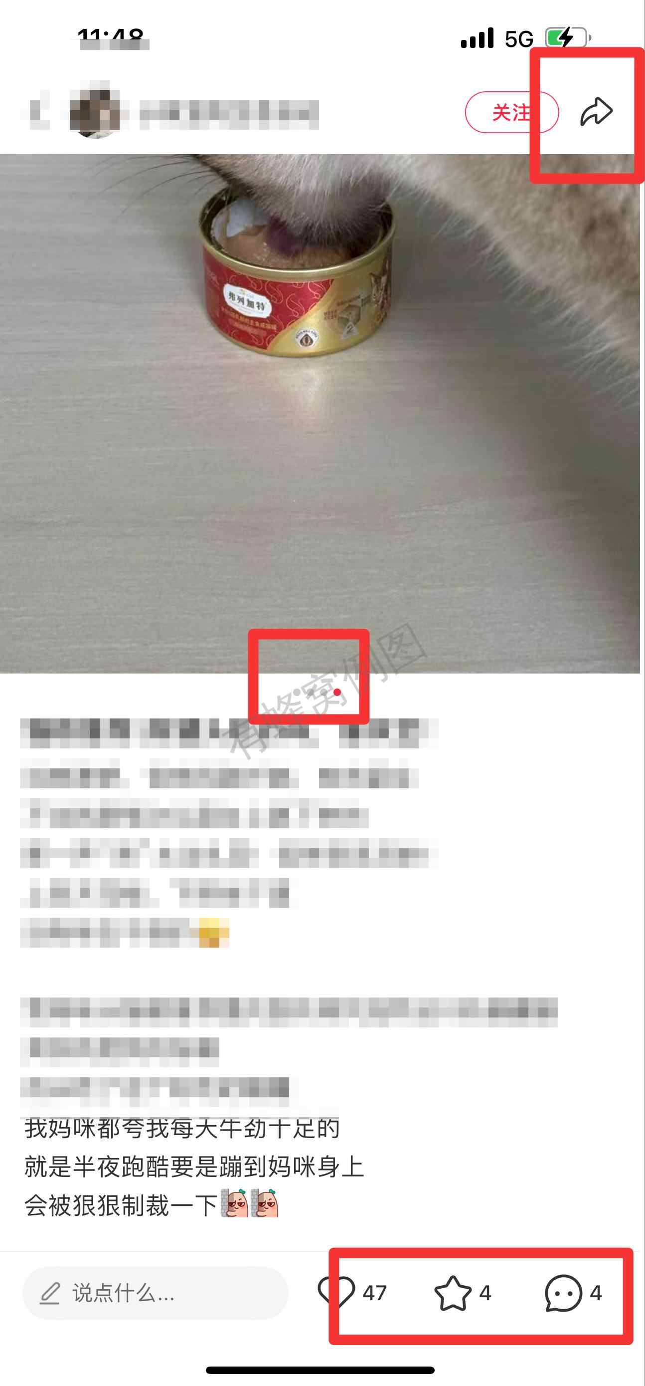 小红书 搜索 霸 猫粮推荐4 步骤图2