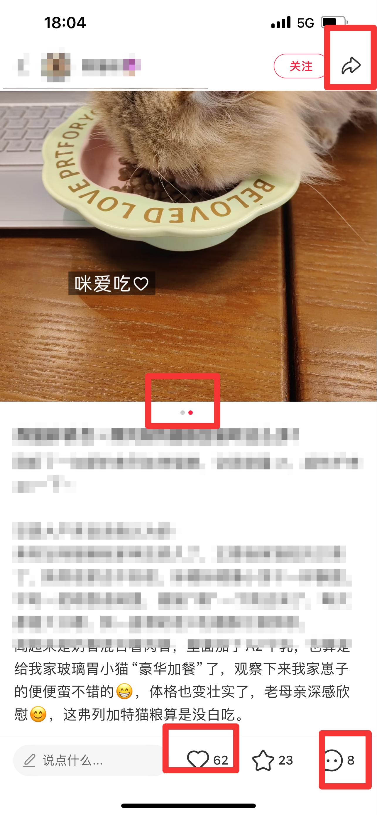 小红书 搜索 弗  弗列加特猫粮4 步骤图2