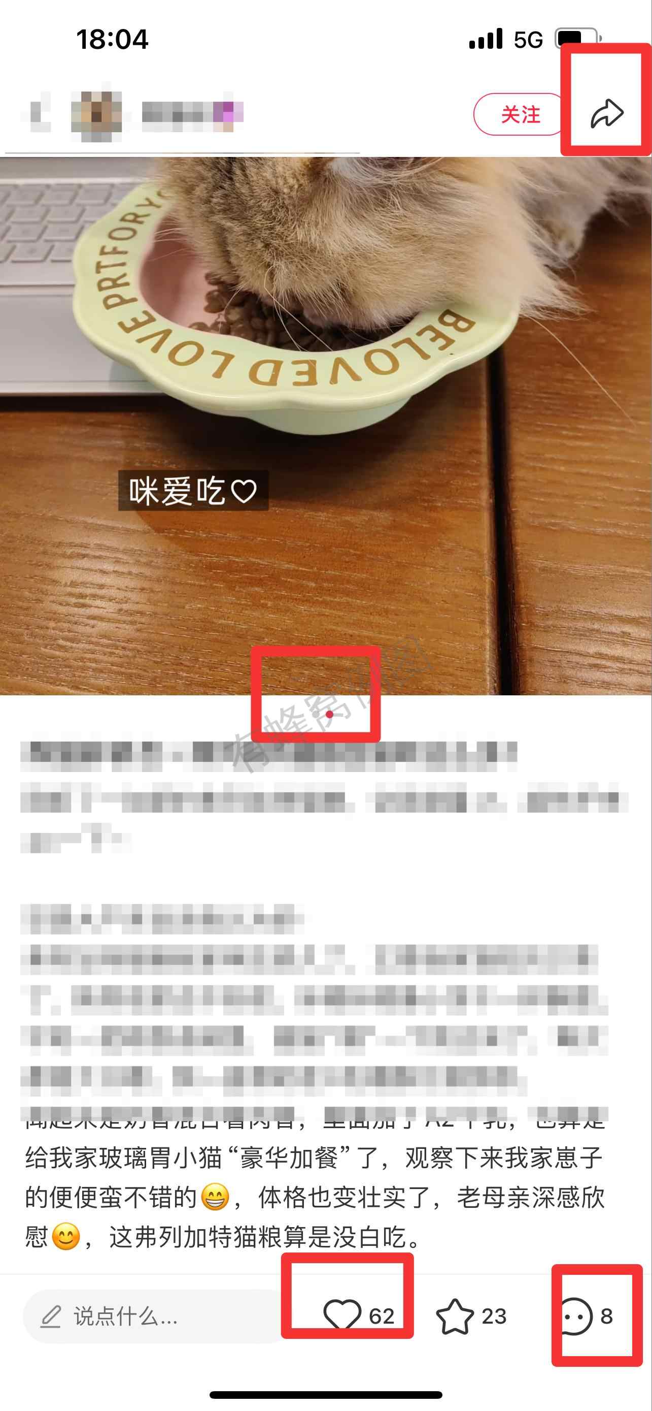 小红书 搜索 弗 弗列加特猫粮4 步骤图2