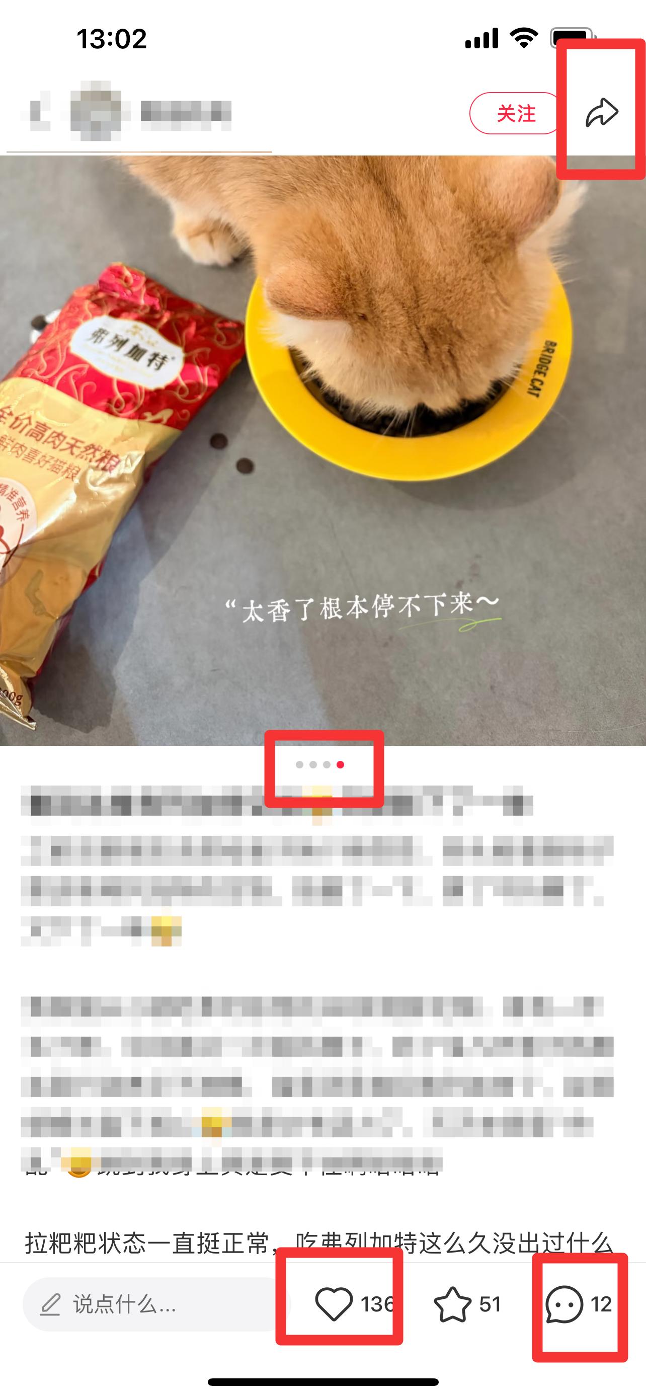 小红书 搜索 弗 弗列加特11 步骤图2
