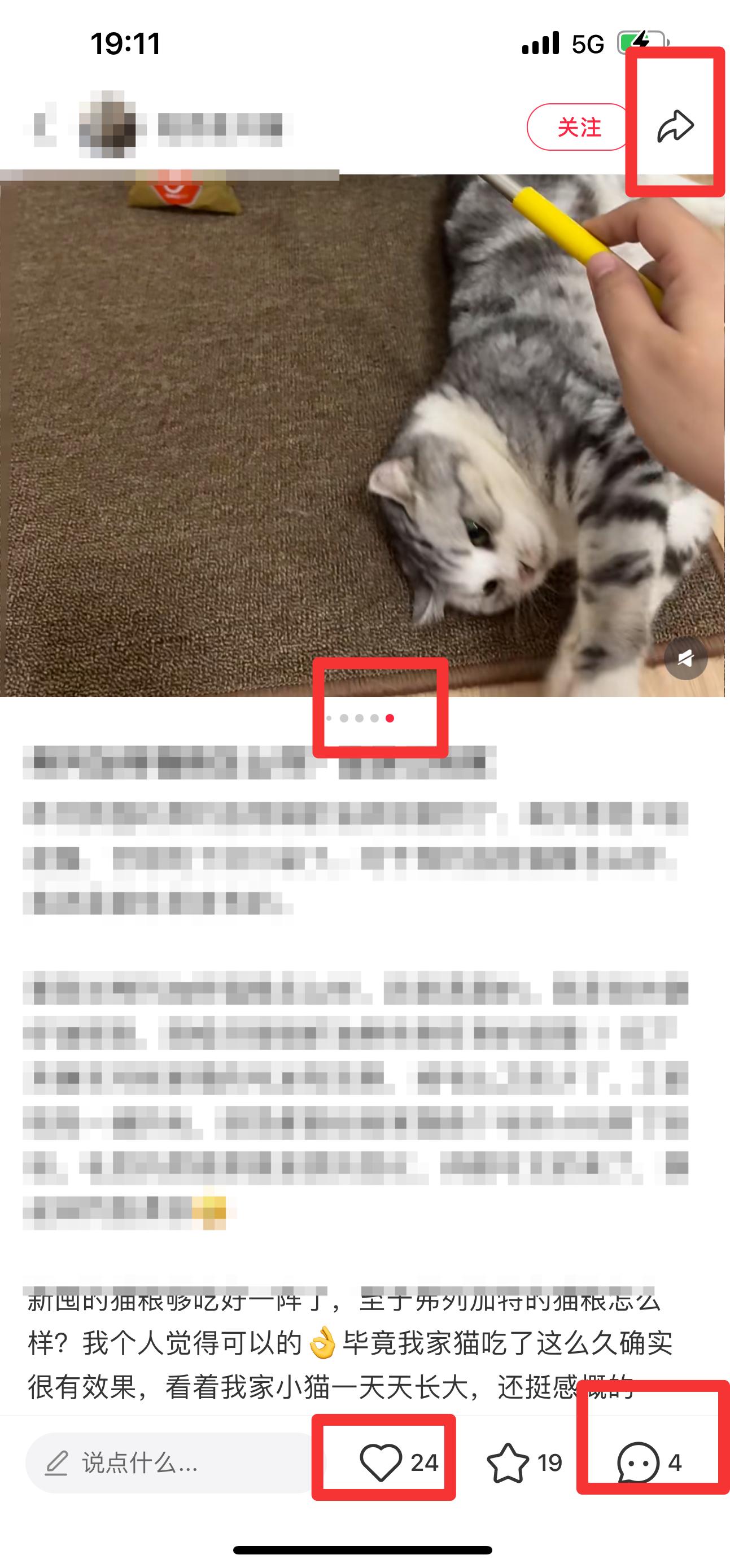 小红书 搜索 弗   弗列加特猫粮怎么样8 步骤图2