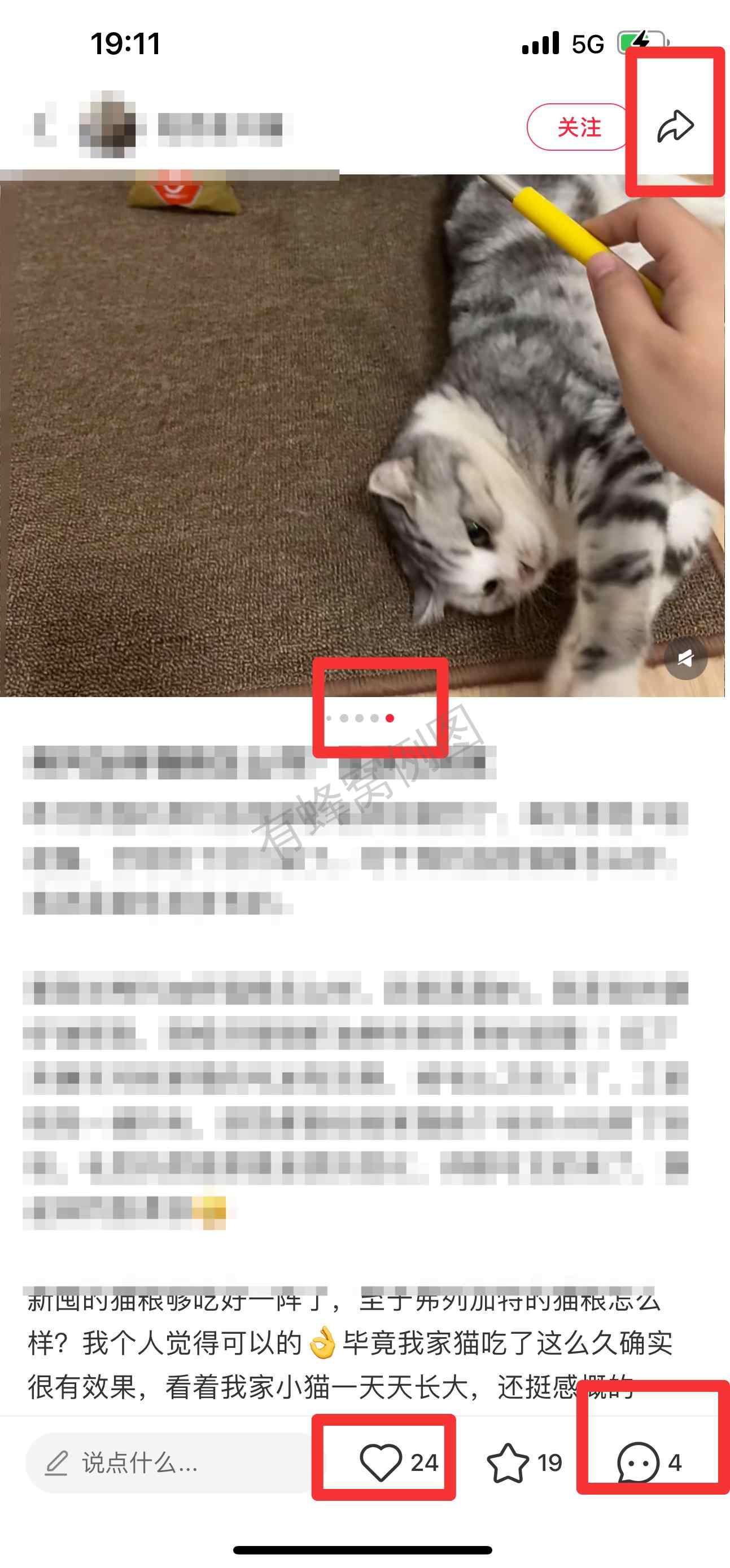 小红书 搜索 弗 弗列加特猫粮怎么样8 步骤图2