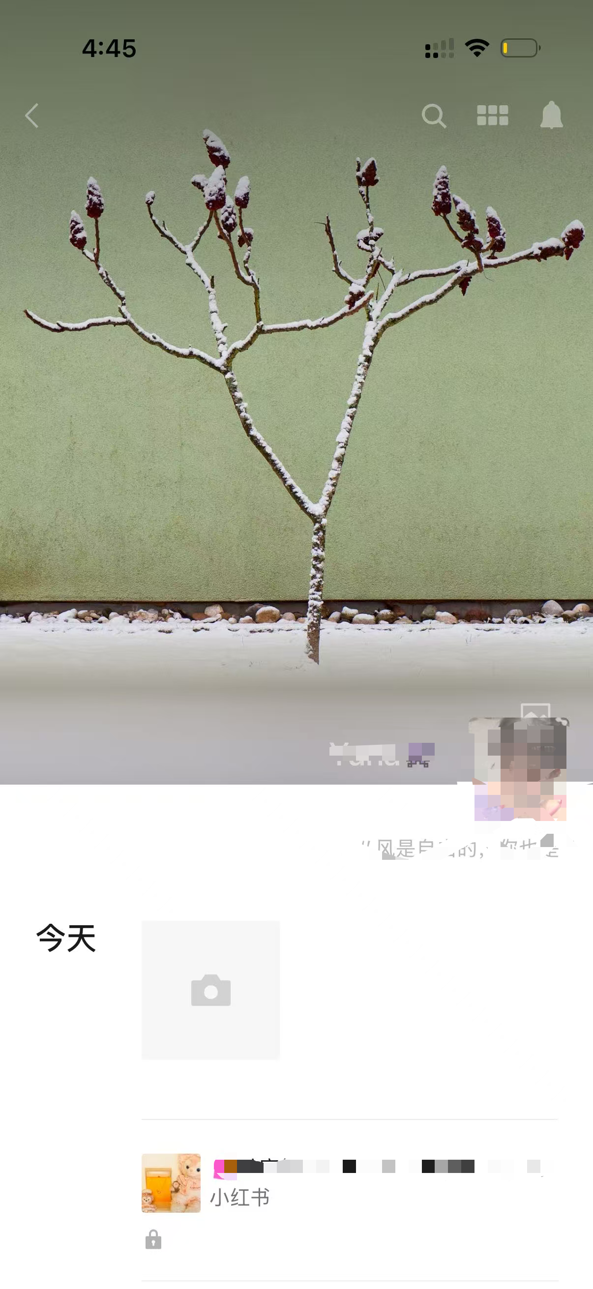 小红书 点赞 收藏 转发 评论 宝格丽-8.4---2 验收样图3