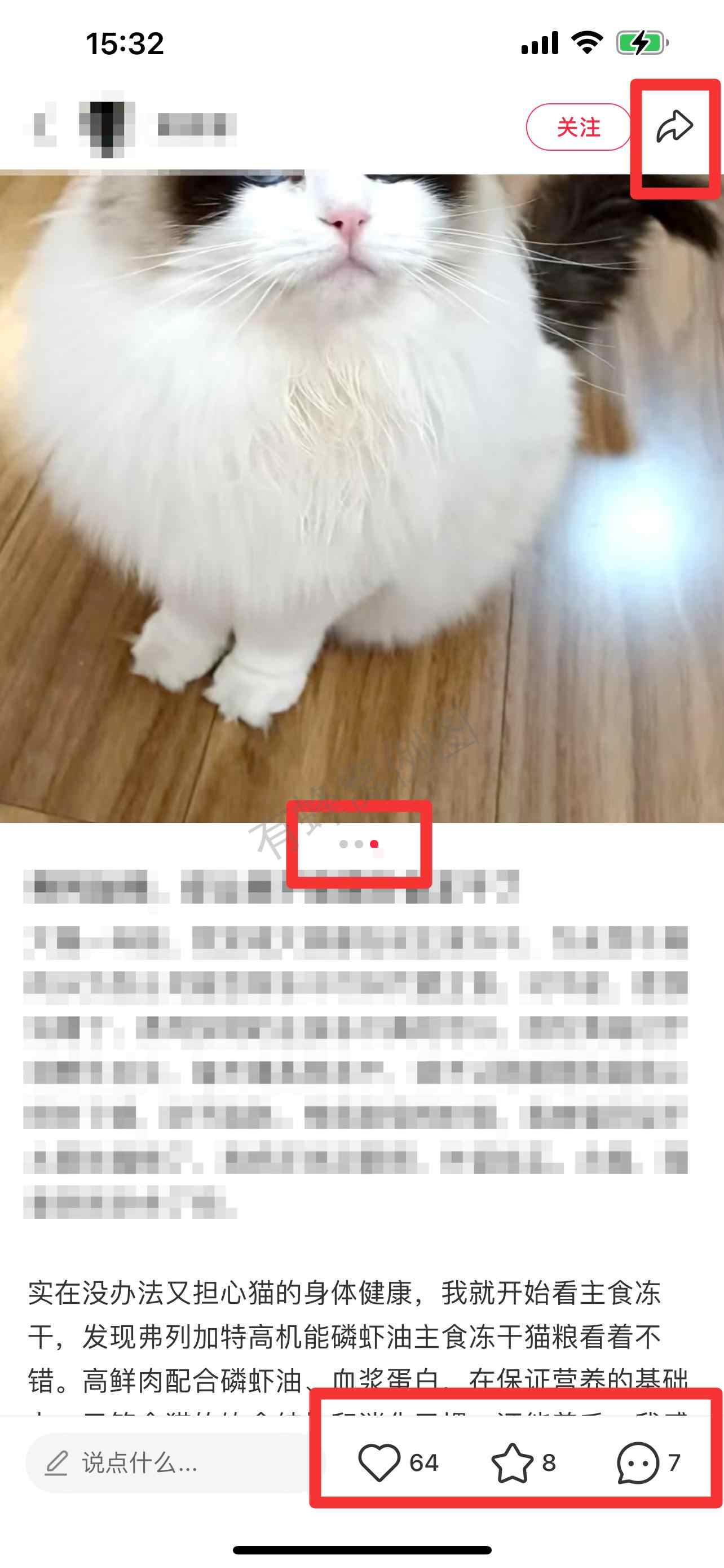 小红书 搜索 弗 弗列加特2 步骤图2
