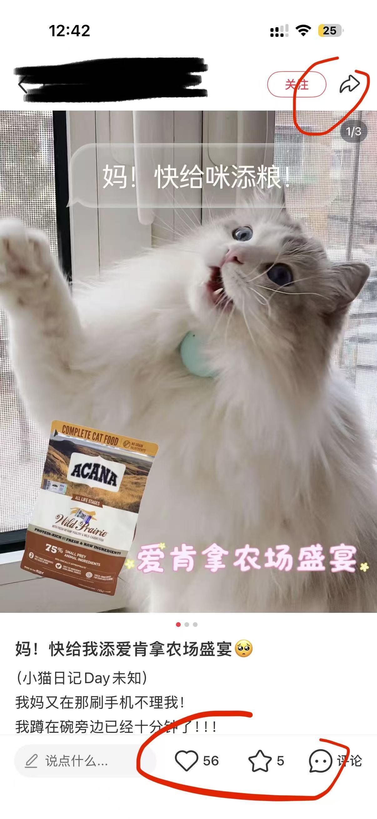 小红书 微信 搜索 点击 点赞 收藏 评论 朋友圈 爱肯拿---6.18----6 验收样图2