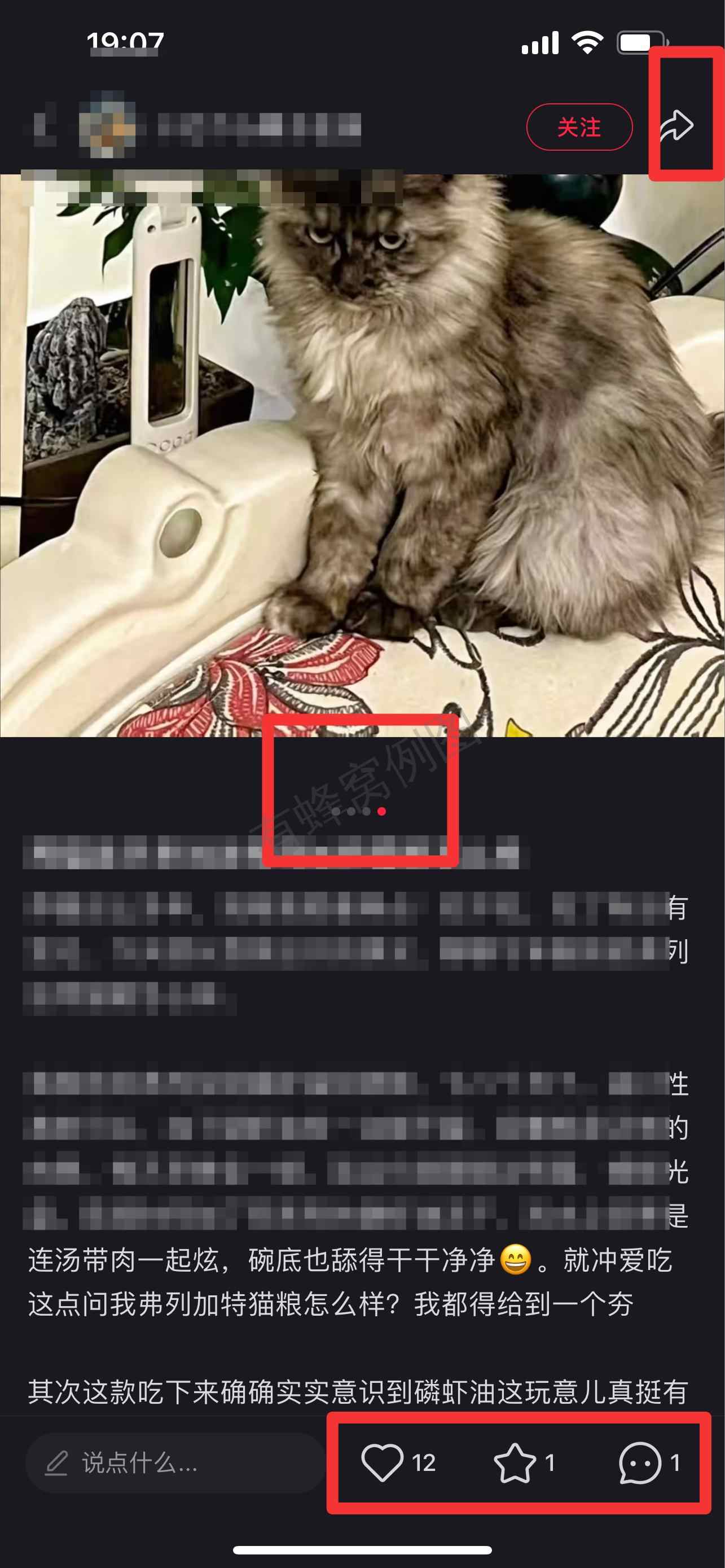 小红书 搜索 弗 弗列加特猫粮怎么样10 步骤图2