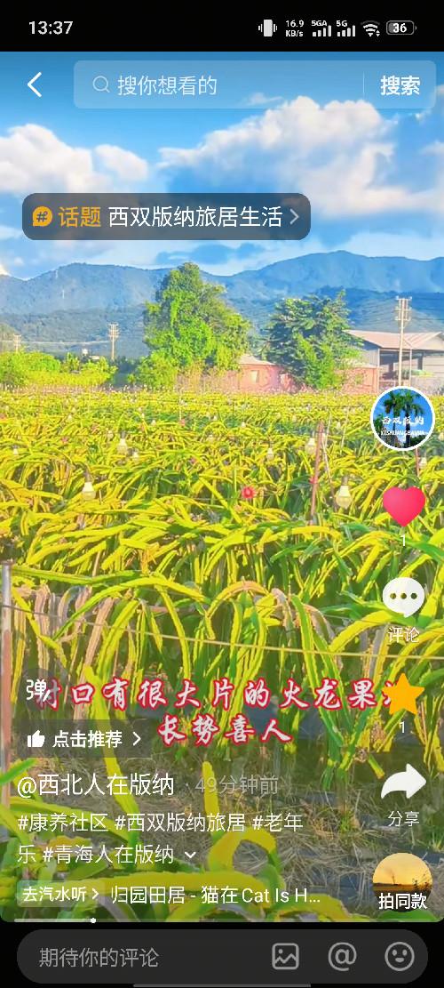 抖音 关注 点赞 收藏 手机用户182****5298的推荐 验收样图2