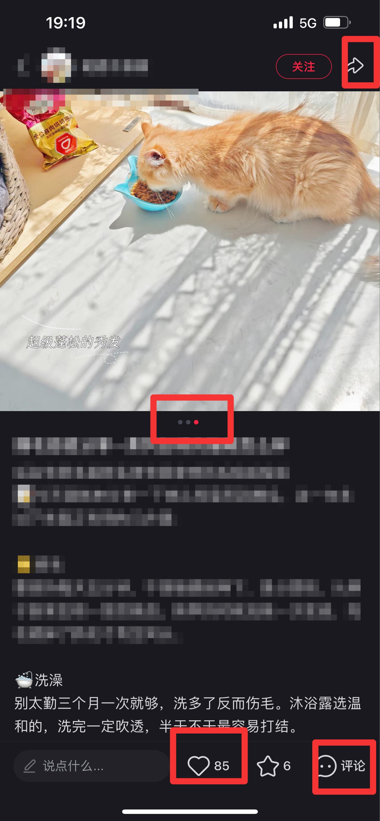 小红书 搜索 弗  弗列加特的猫粮怎么样3 步骤图2