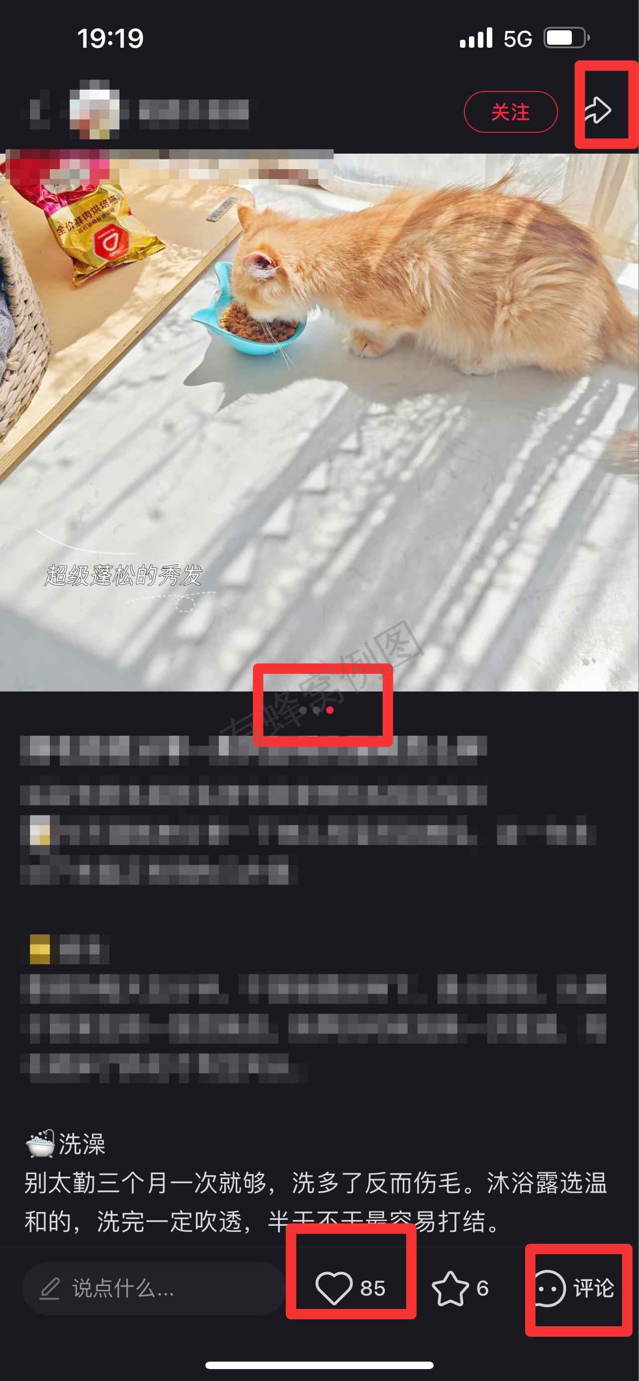 小红书 搜索 弗 弗列加特的猫粮怎么样3 步骤图2