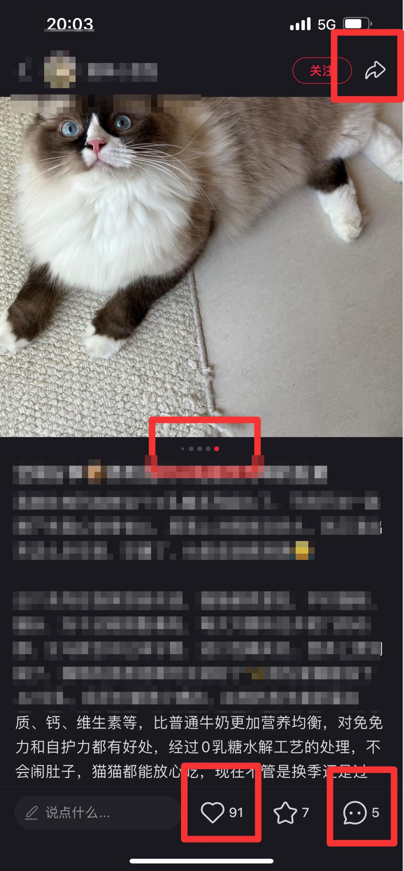 小红书 搜索 弗  弗列加特猫粮9 步骤图2