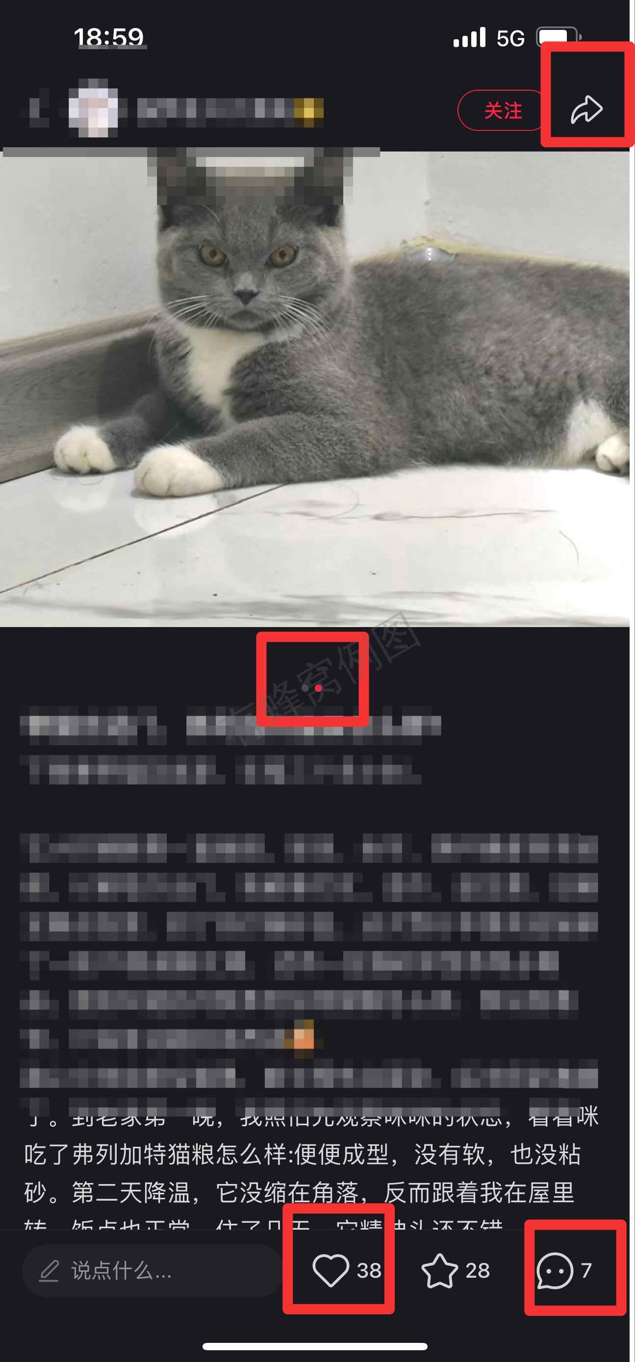 小红书 搜索 弗 弗列加特猫粮怎么样13 步骤图2