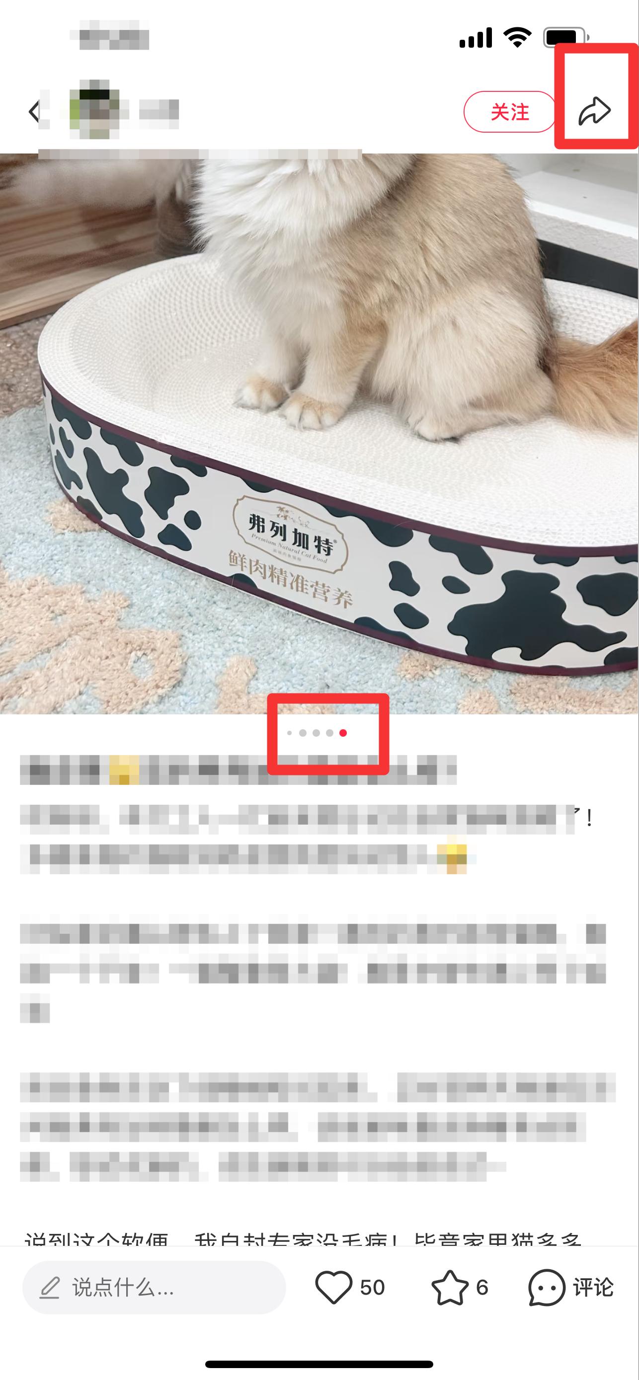 小红书 搜索 弗   弗列加特猫粮怎么样9 步骤图2