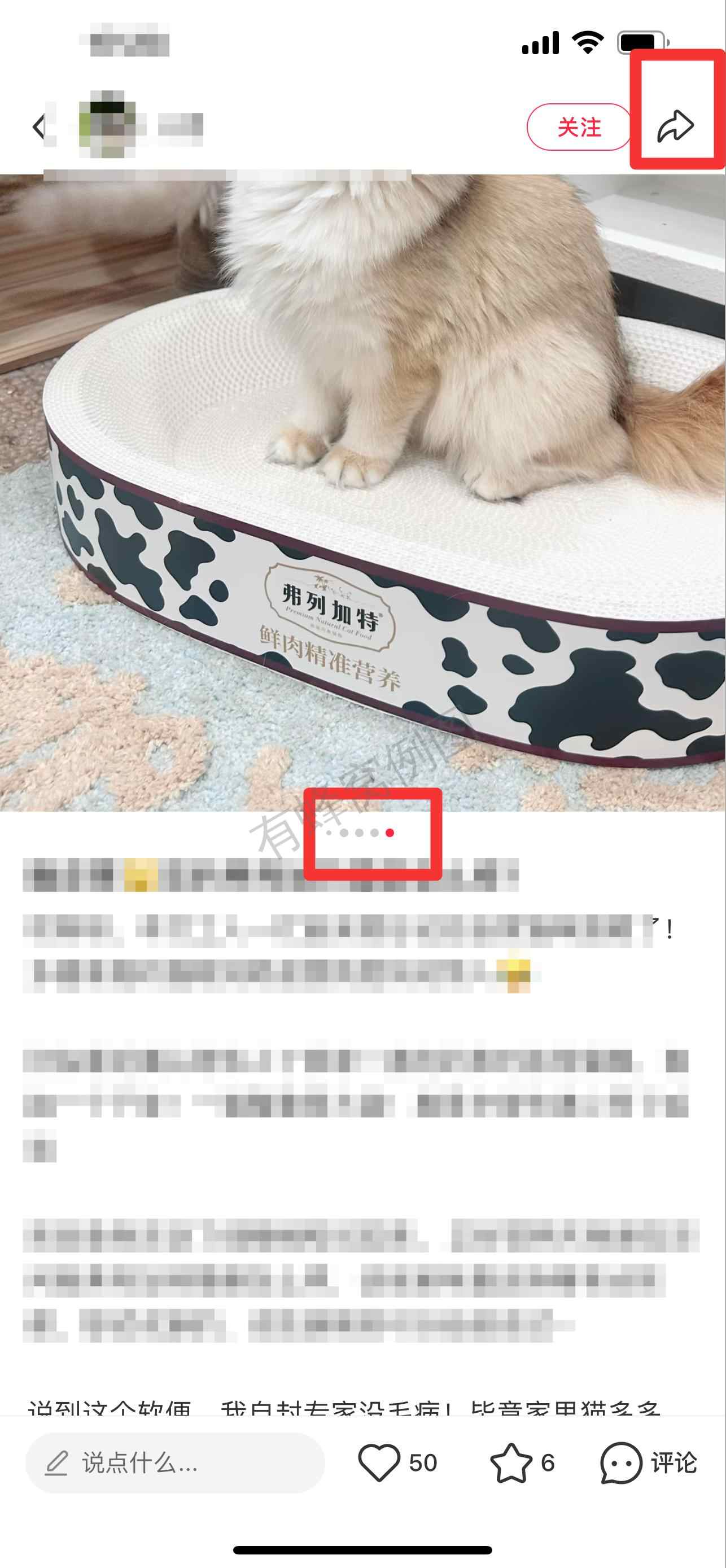 小红书 搜索 弗 弗列加特猫粮怎么样9 步骤图2