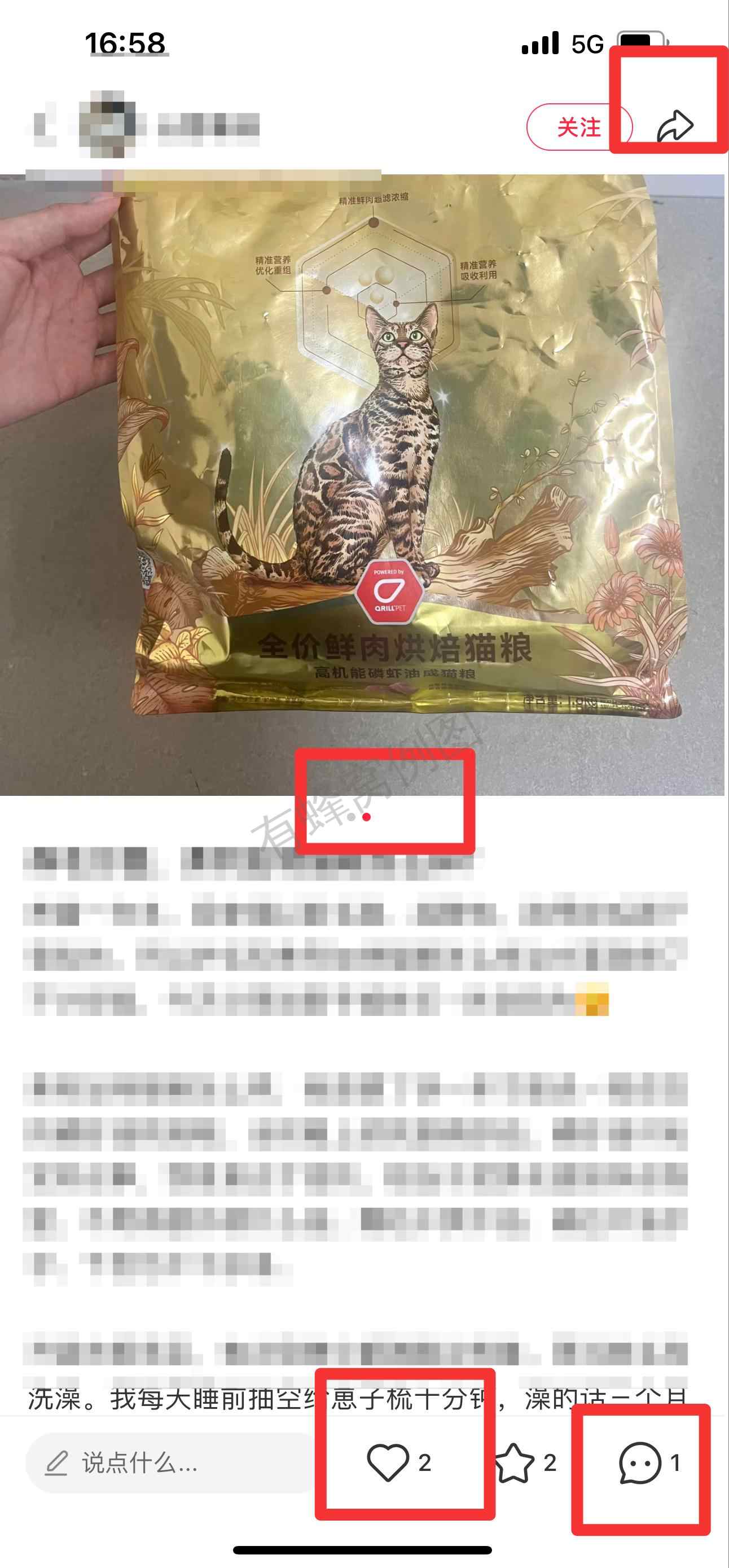 小红书 搜索 弗 弗列加特猫粮怎么样 步骤图2