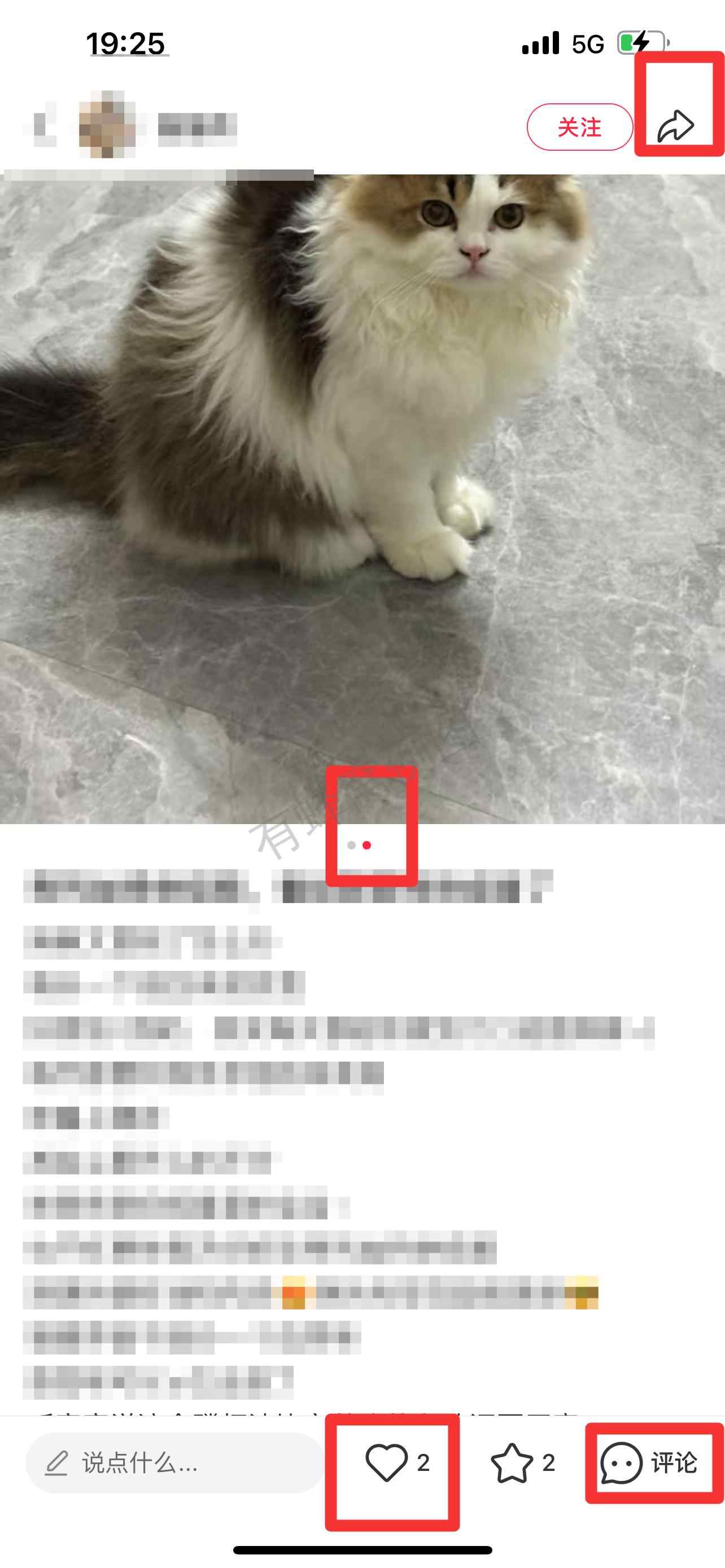 小红书 搜索 弗 弗列加特烘焙粮15 步骤图2