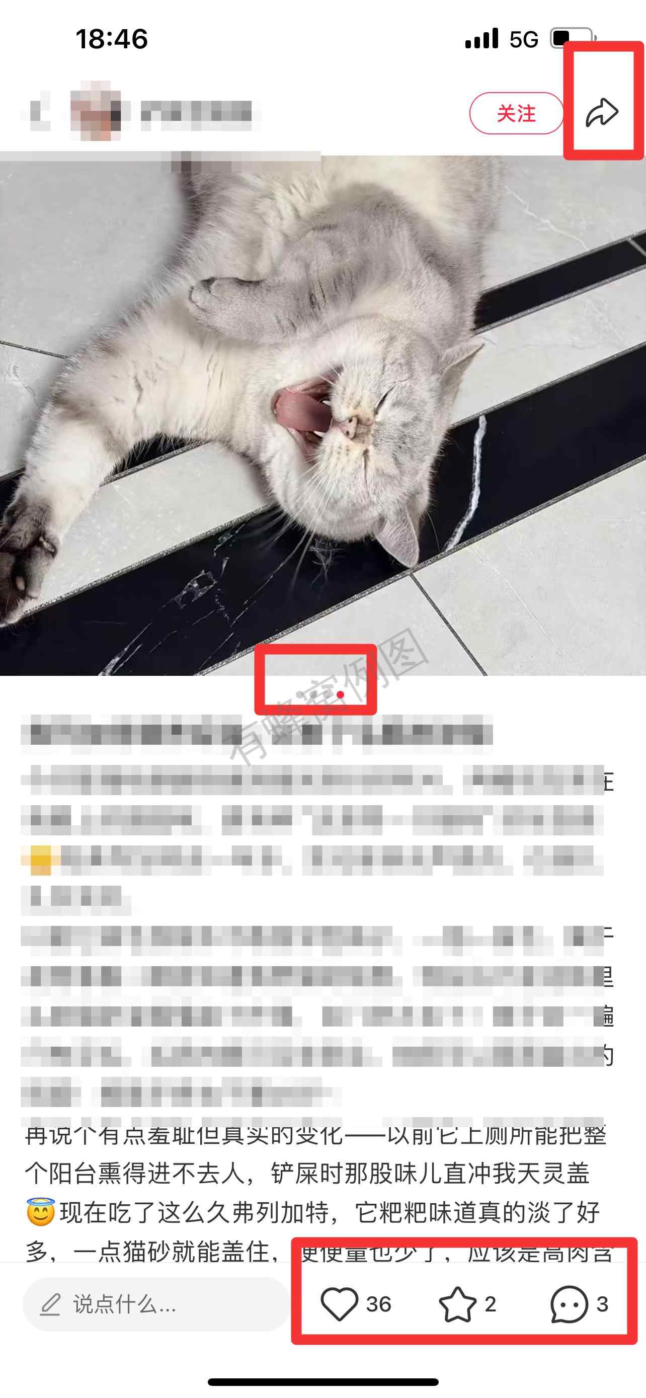 小红书 搜索 弗 弗列加特12 步骤图2