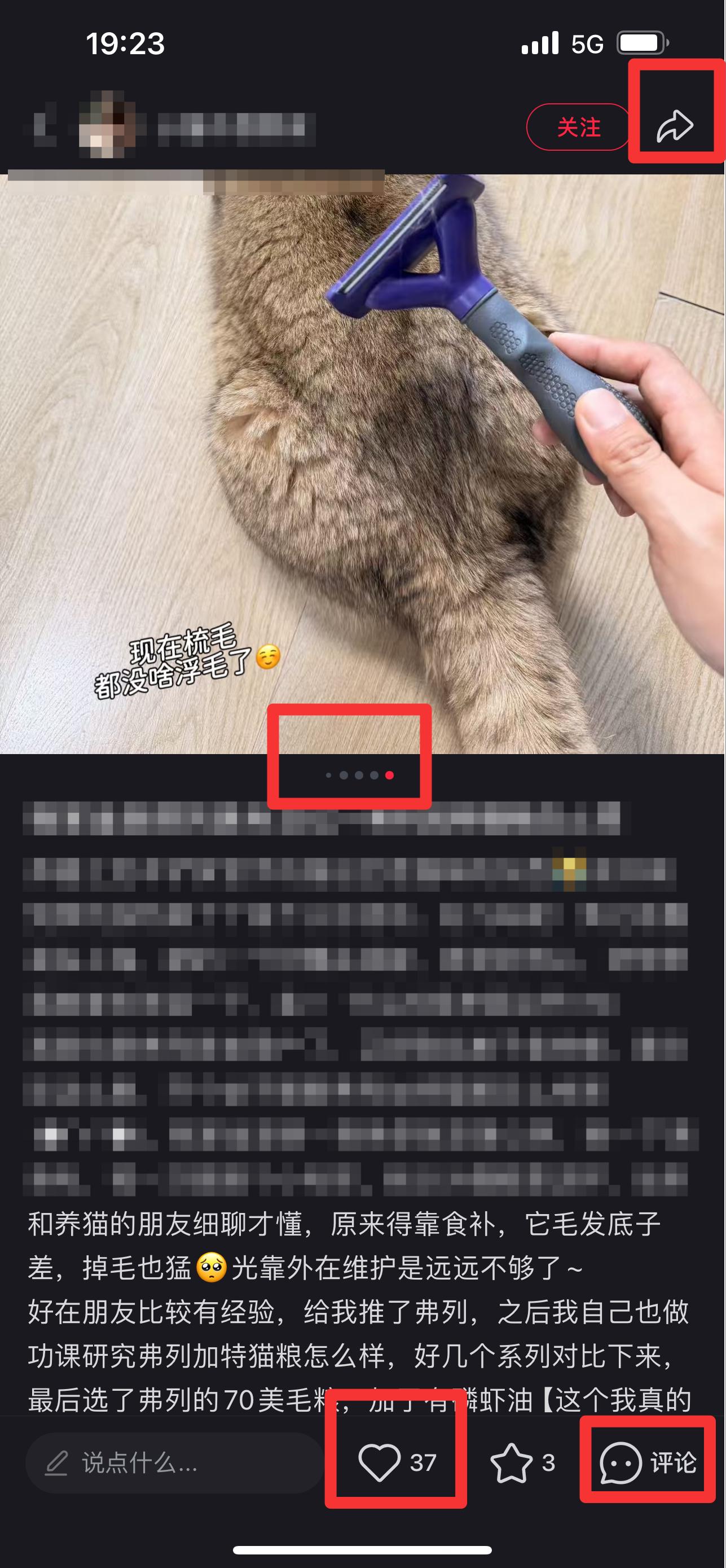 小红书 搜索 弗   弗列加特猫粮怎么样12 步骤图2