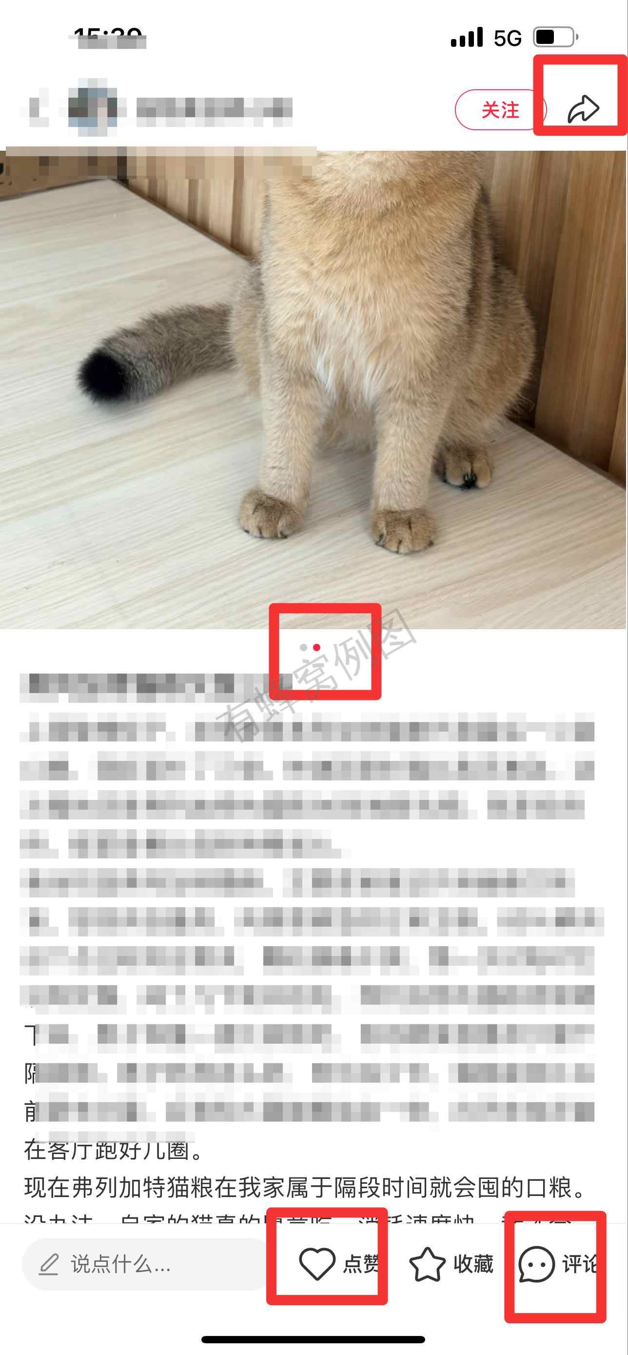 小红书 搜索 弗 弗列加特猫粮怎么样16 步骤图2