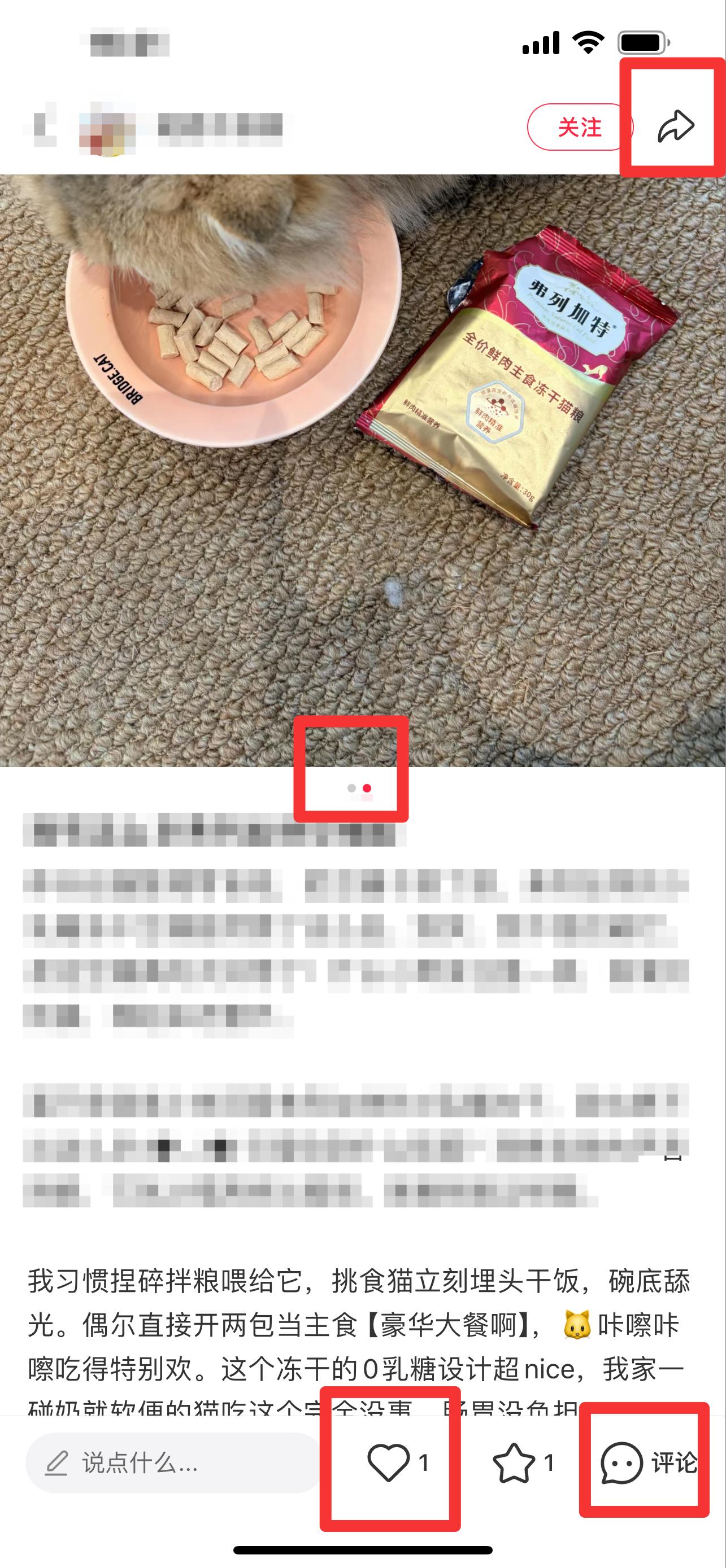 小红书 搜索 弗 弗列加特 步骤图2