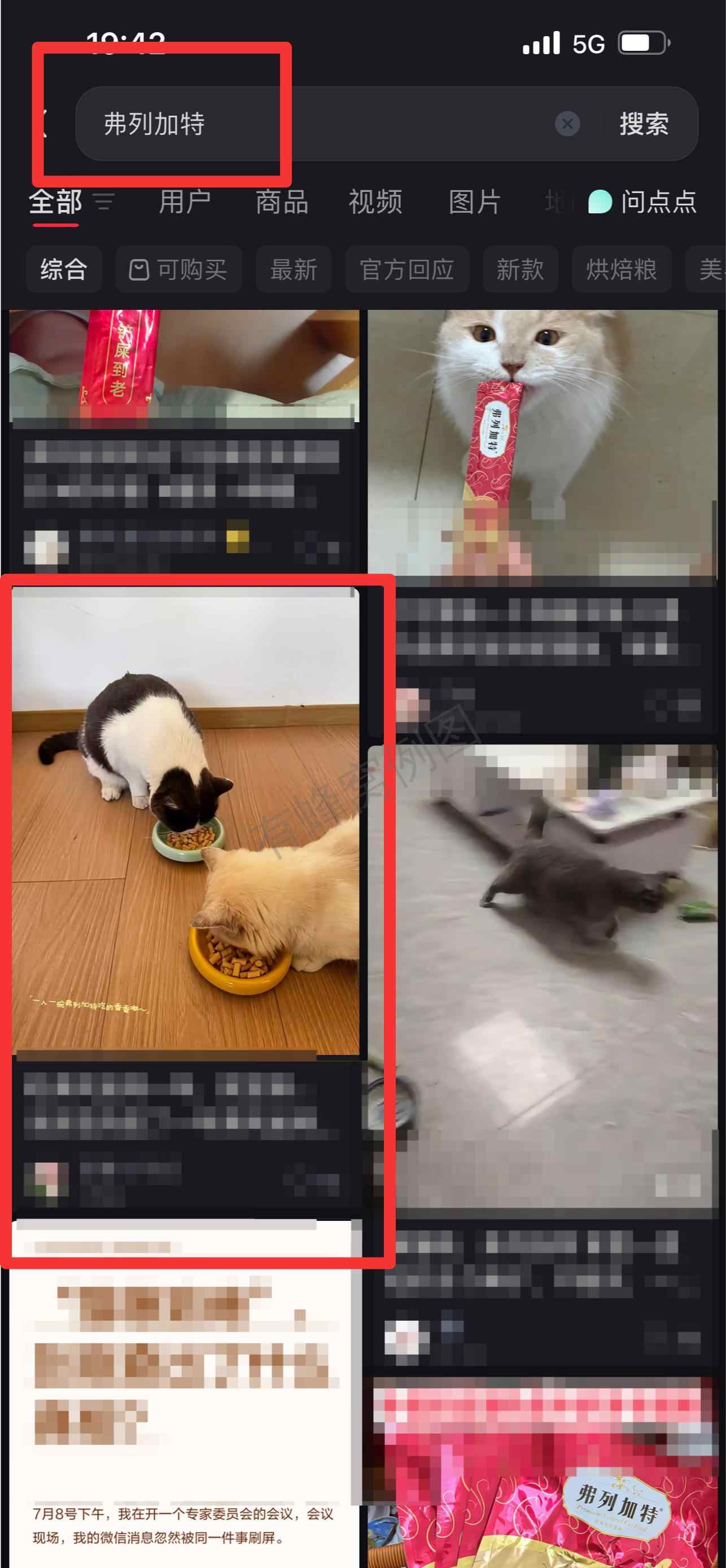 小红书 搜索 弗 弗列加特13 步骤图1