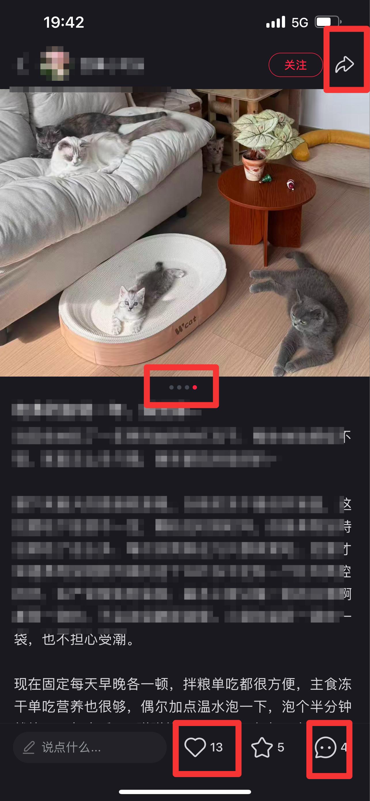 小红书 搜索 弗  弗列加特13 步骤图2