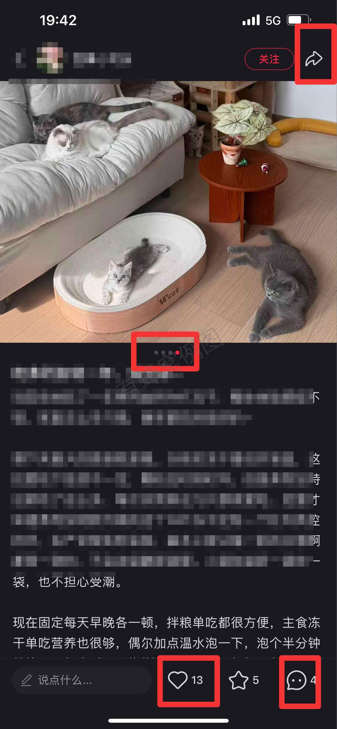 小红书 搜索 弗 弗列加特13 步骤图2