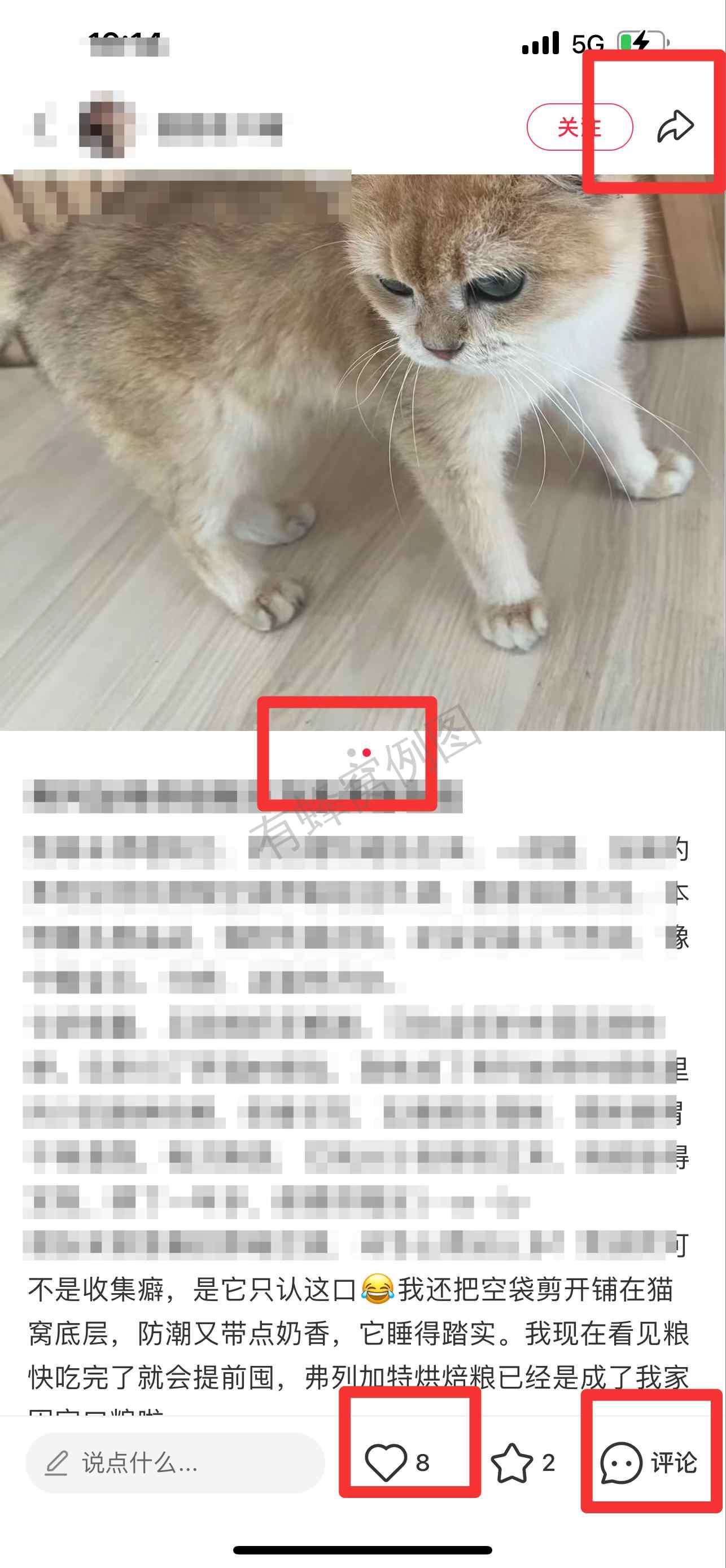 小红书 搜索 弗 弗列加特烘焙粮14 步骤图2