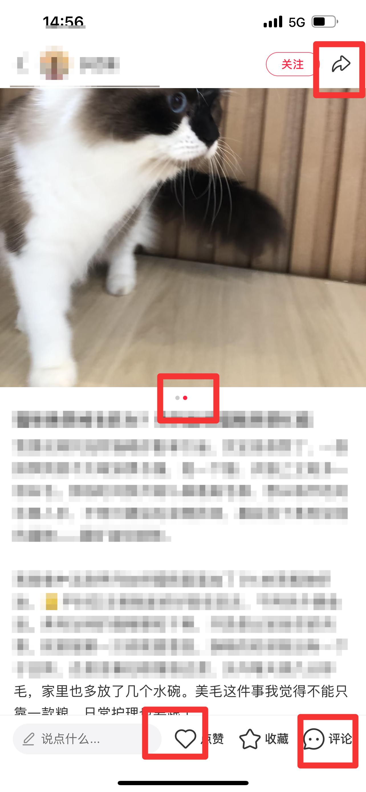 小红书 搜索 弗  弗列加特猫粮 步骤图2