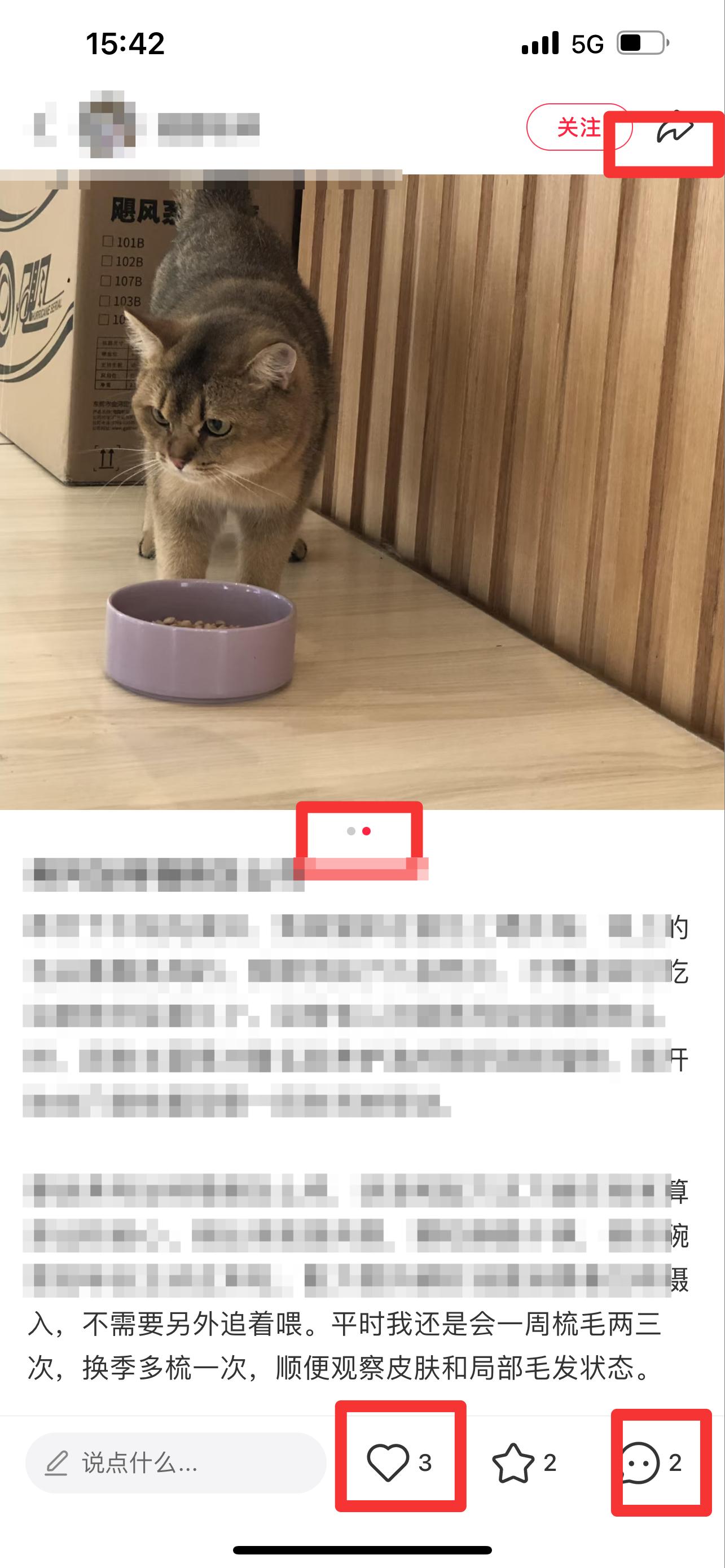 小红书 搜索 弗  弗列加特猫粮怎么样17 步骤图2