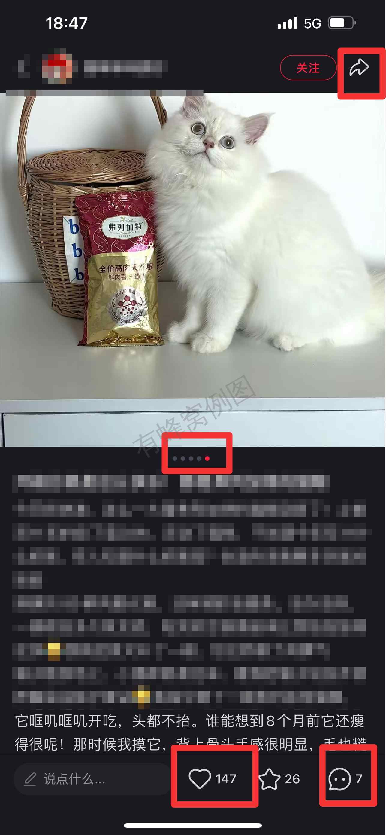 小红书 搜索 弗 弗列加特猫粮12 步骤图2